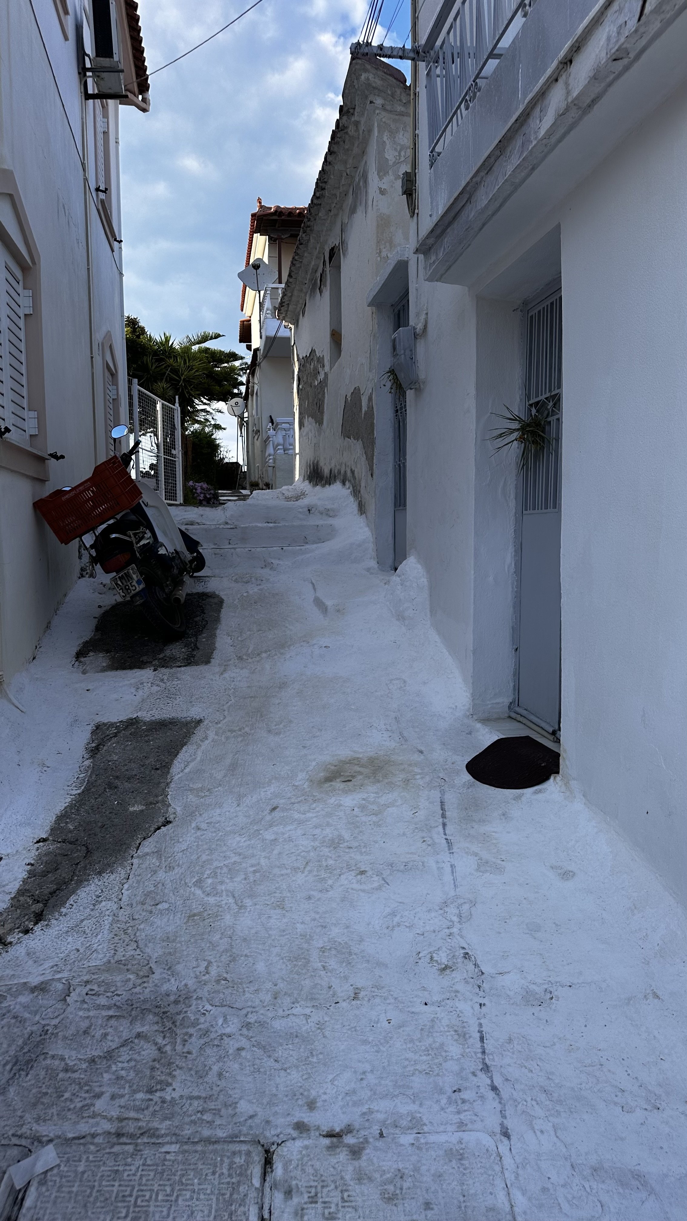 IMG_8546.jpeg