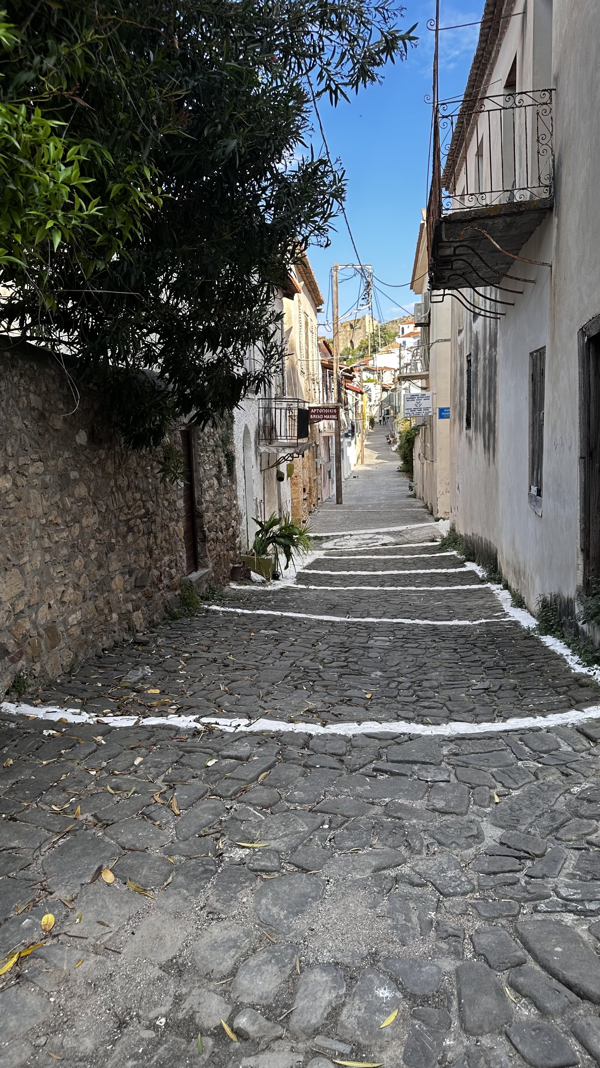 IMG_8554.jpeg