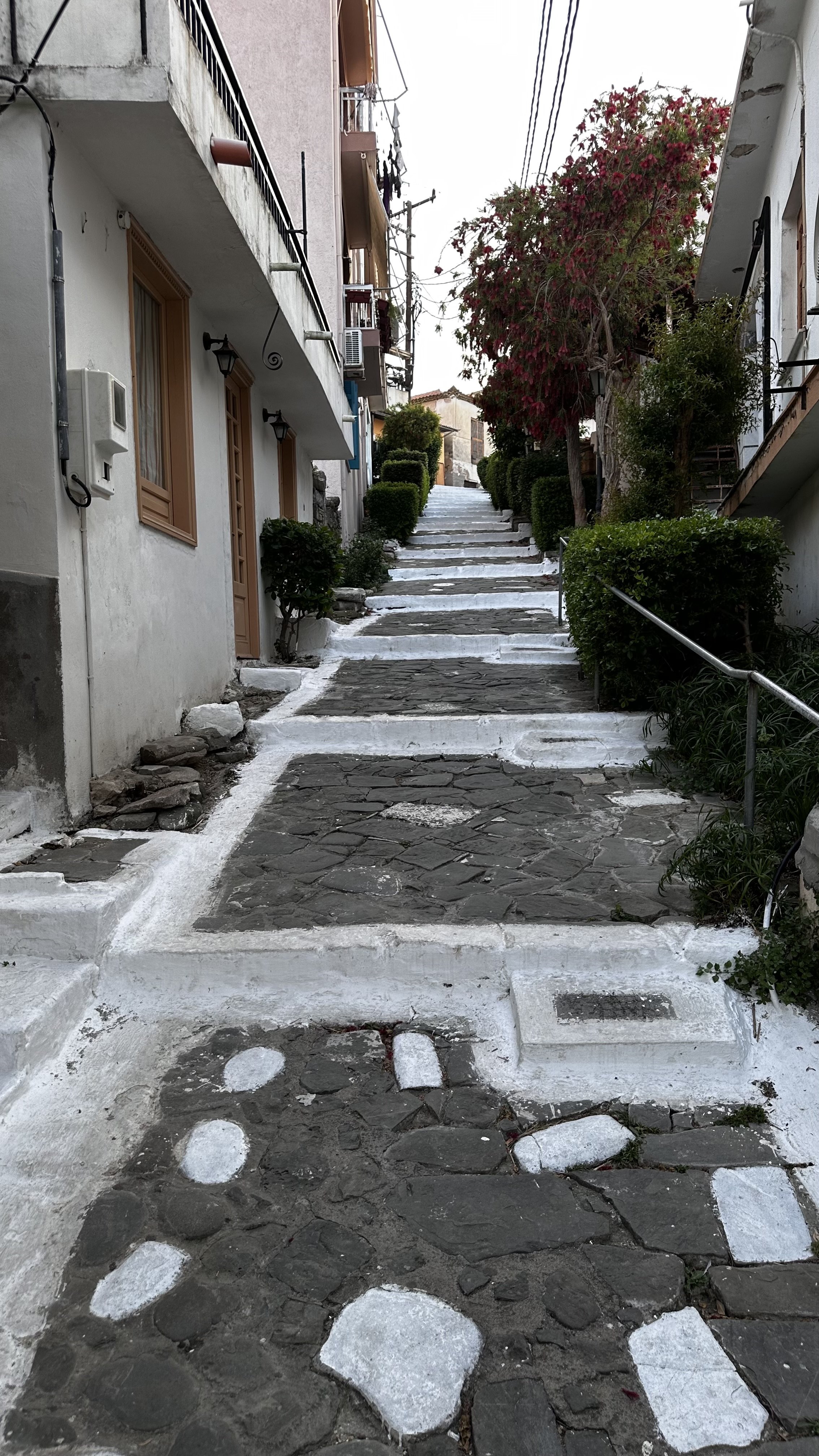 IMG_8579.jpeg