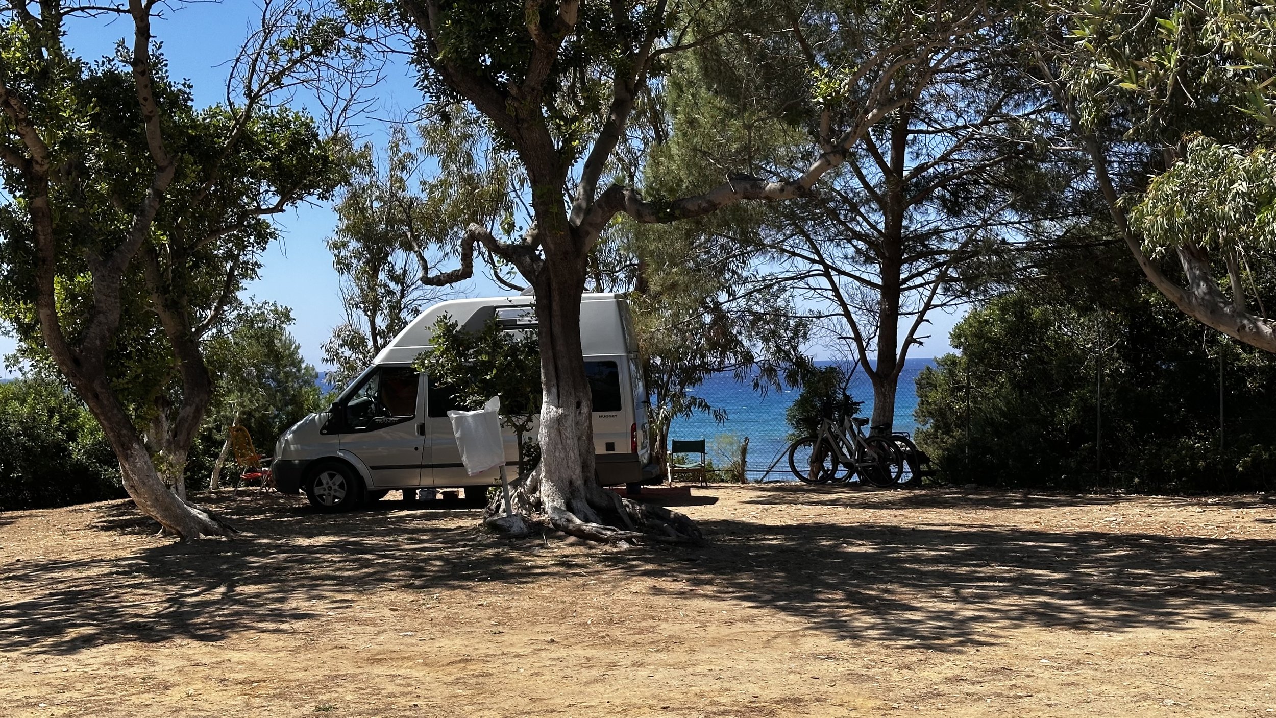 IMG_8626.jpeg