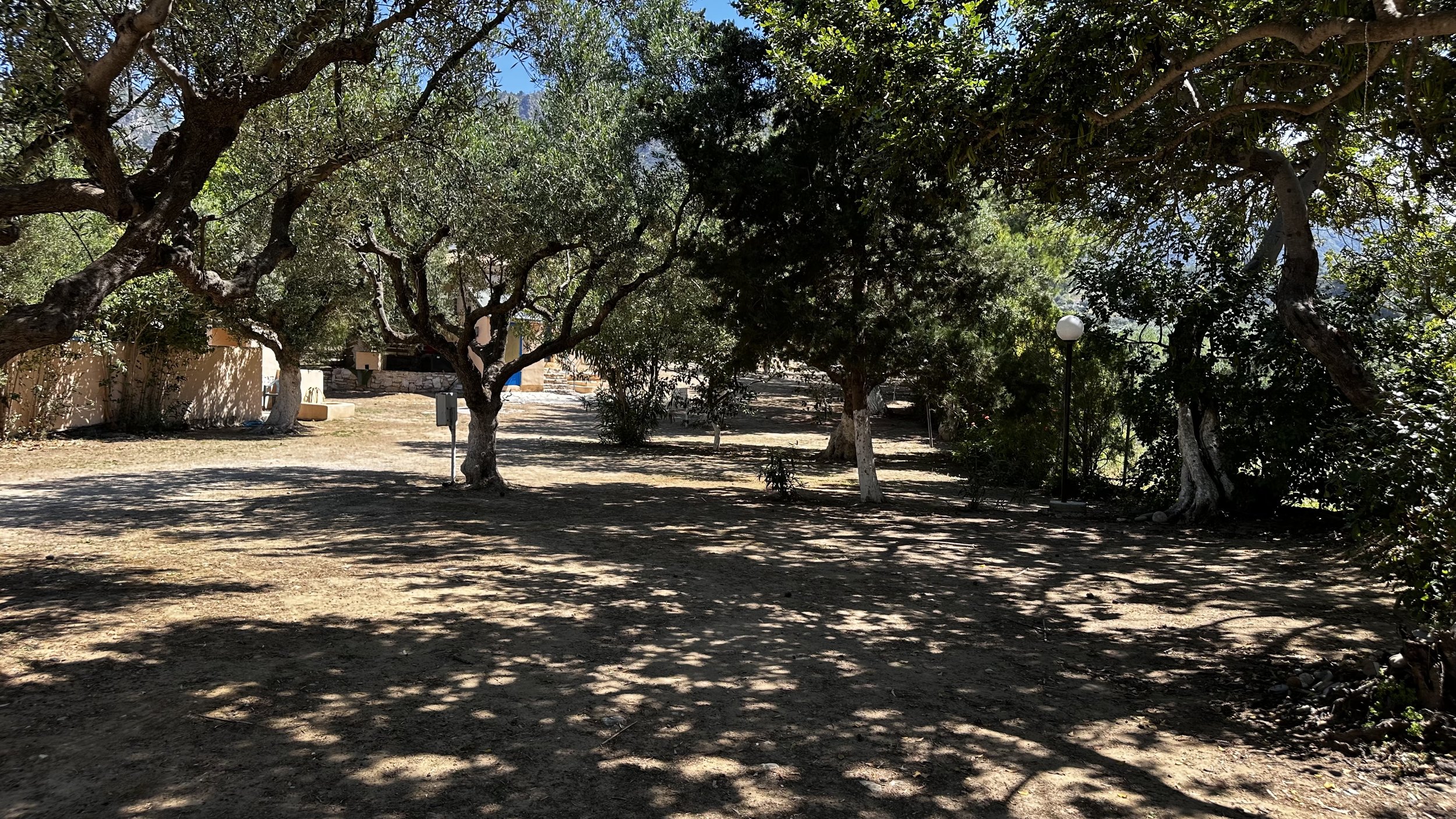 IMG_8616.jpeg