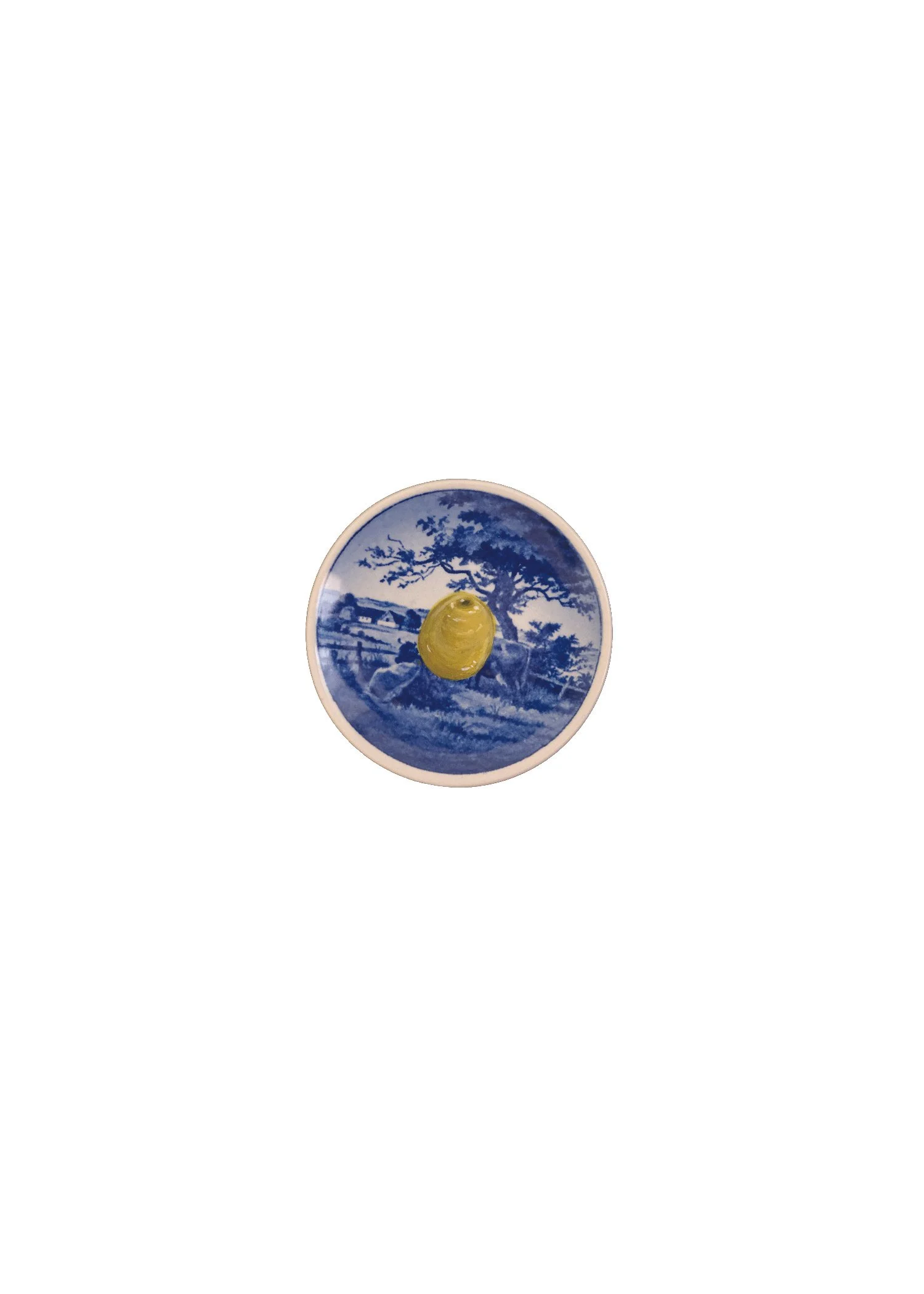 Blue Olive.jpg