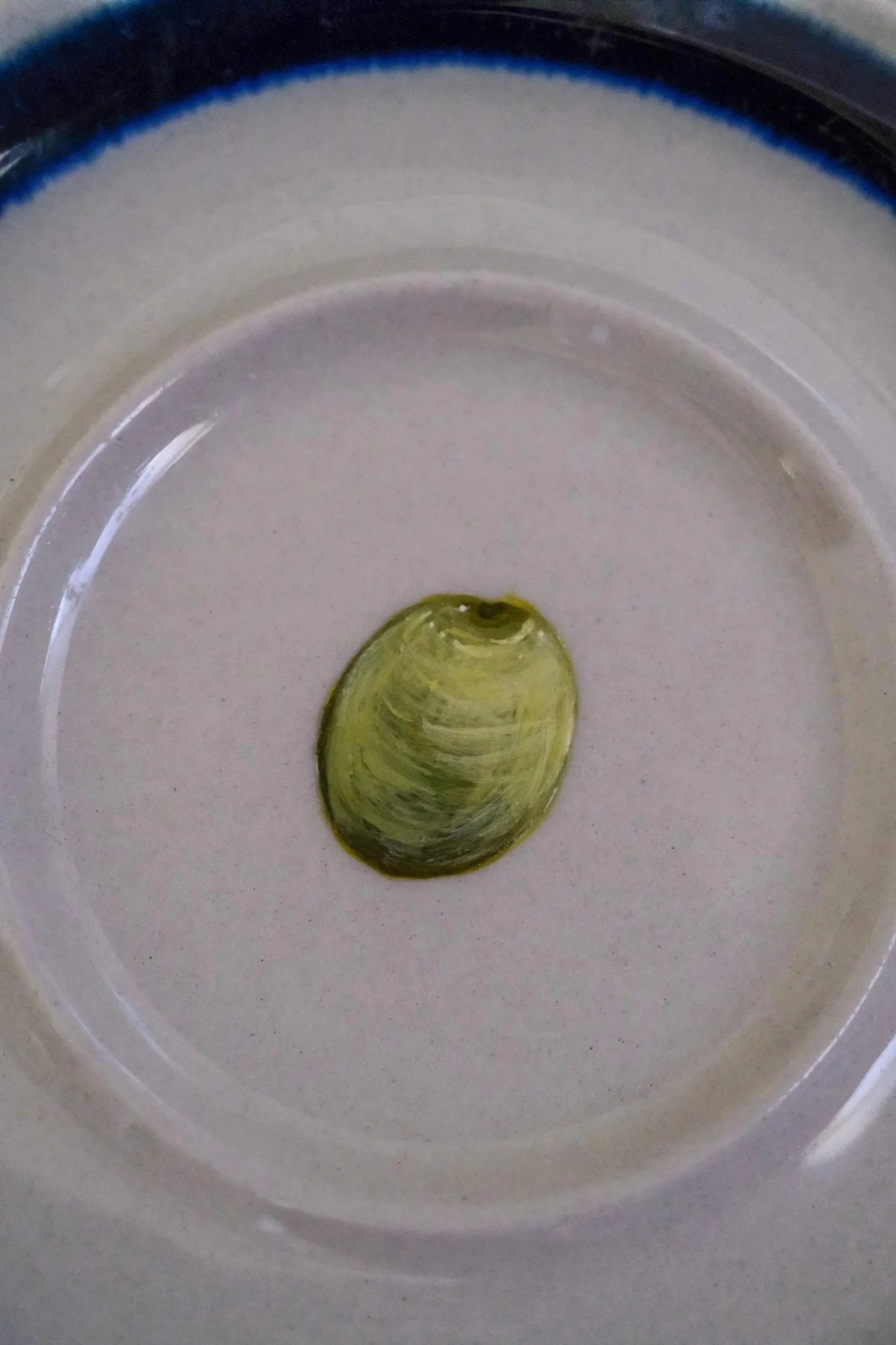 DSCF4108.jpg