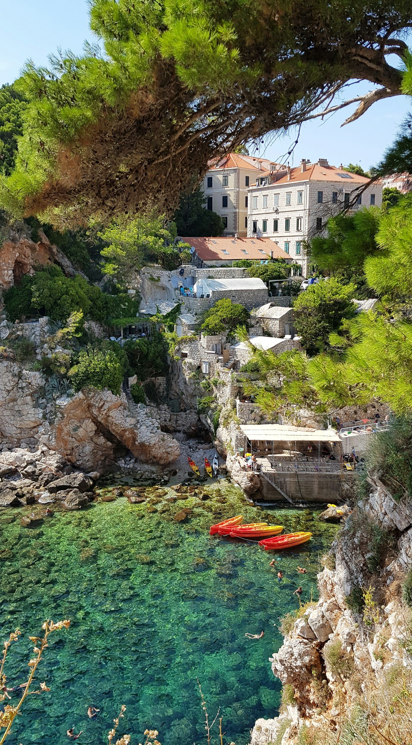Dive into 2024: Mastering the Art of Croatian Citizenship Application through Naturalization for EU/EEA Citizens!