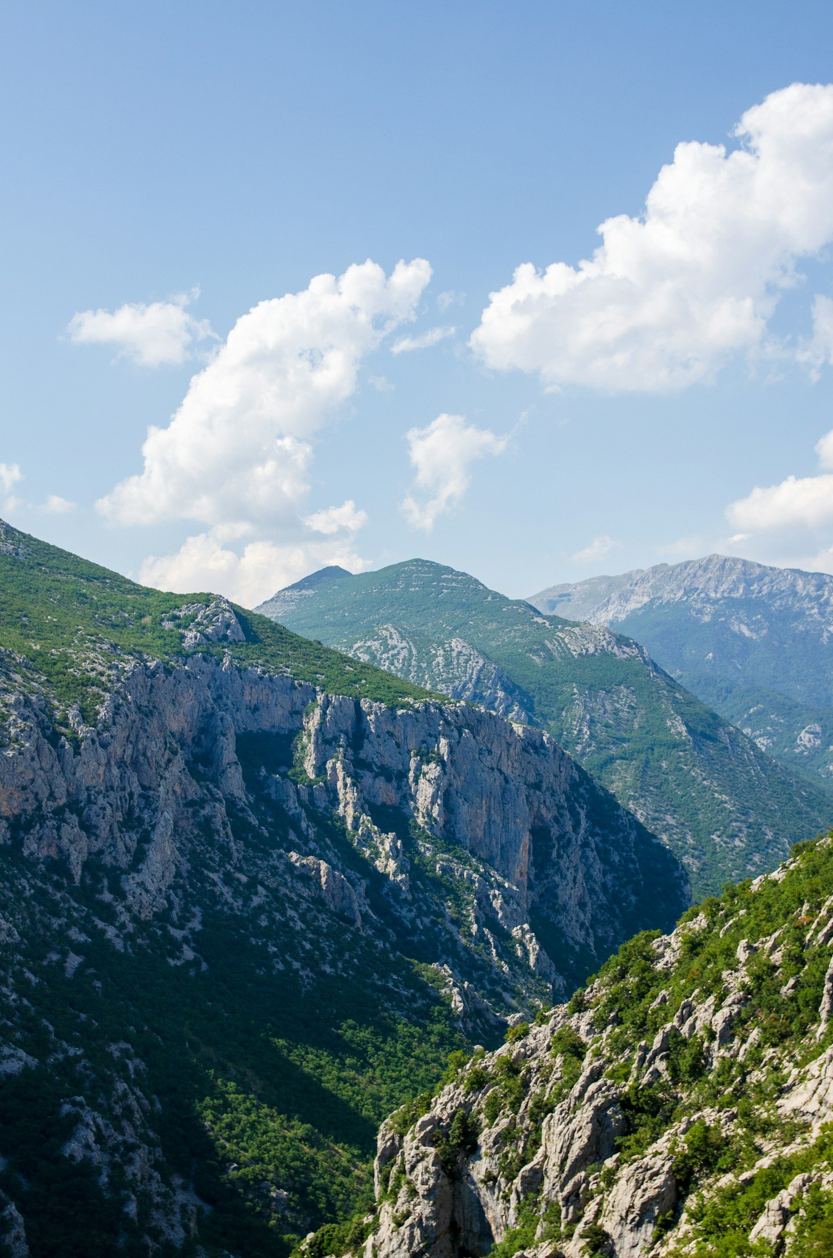Istraživanje funkcija i zadataka Središnjeg ureda države Hrvatske za hrvatsku dijasporu
