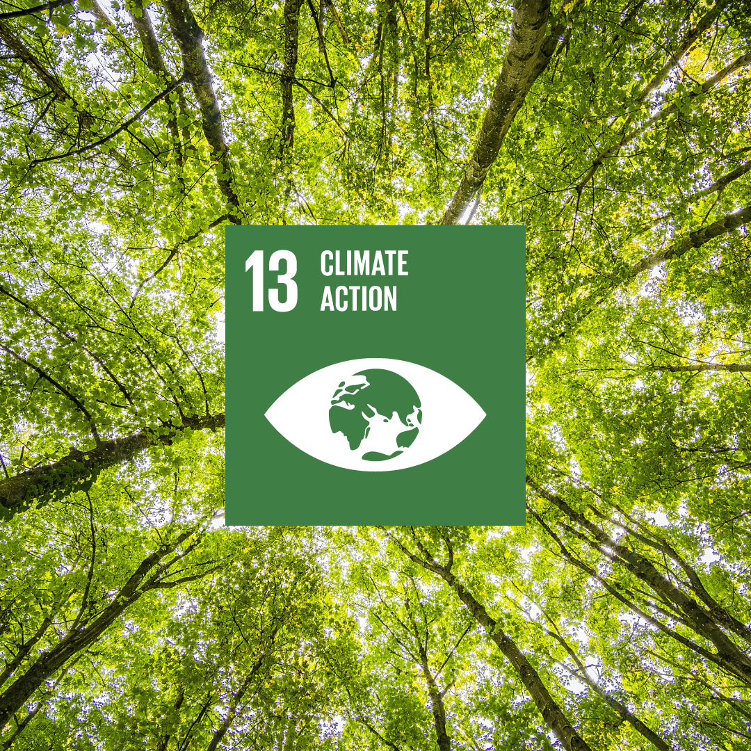 Green Clean and Corporate Sustainable Consumption Climate Change Instagram Post.png