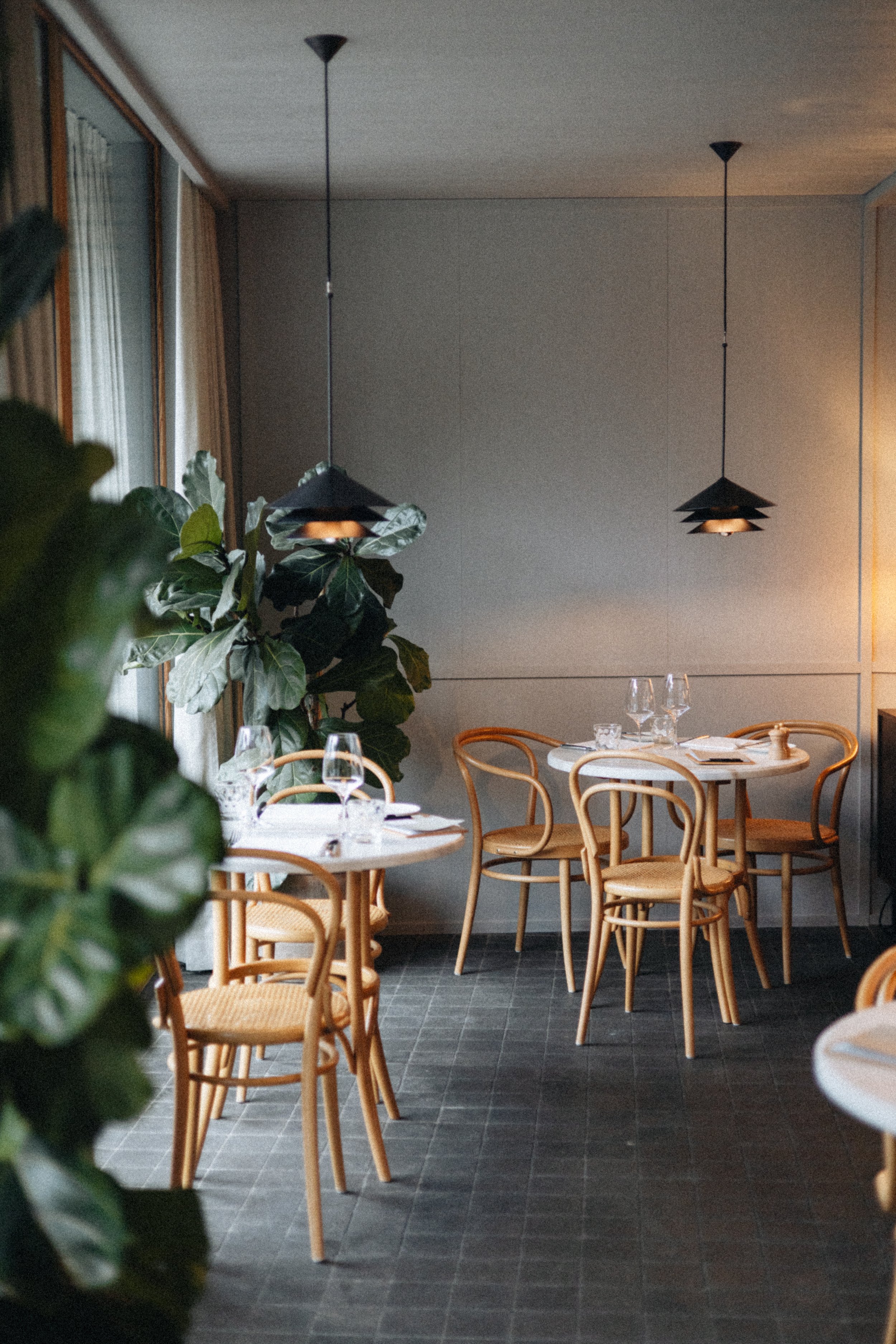 A cozy dining area with wooden chairs and tables, set with glasses and plates, featuring a large leafy green plant, located near a window with curtains, lit by modern black pendant lights.