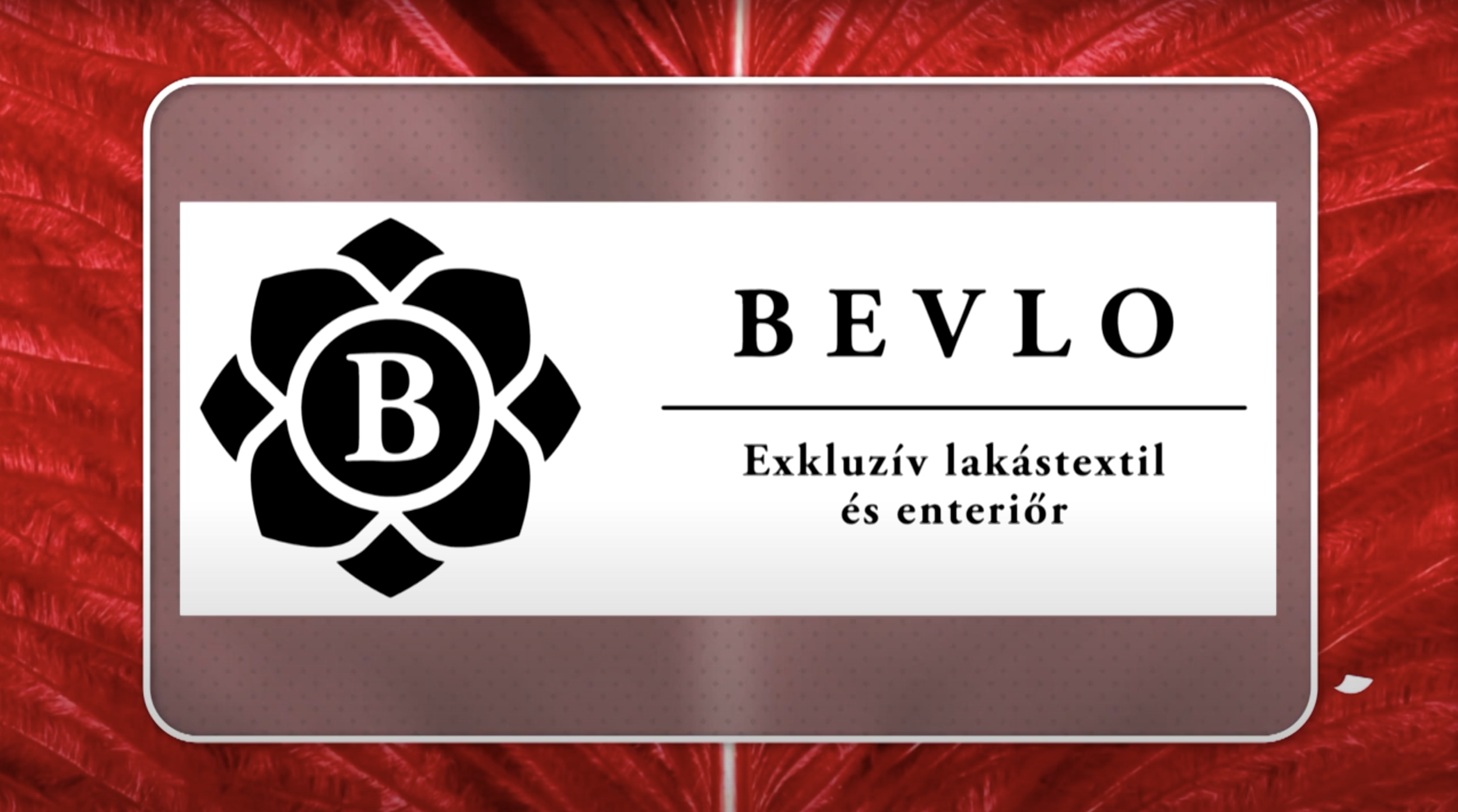Bevlo 25 a Trendmániában