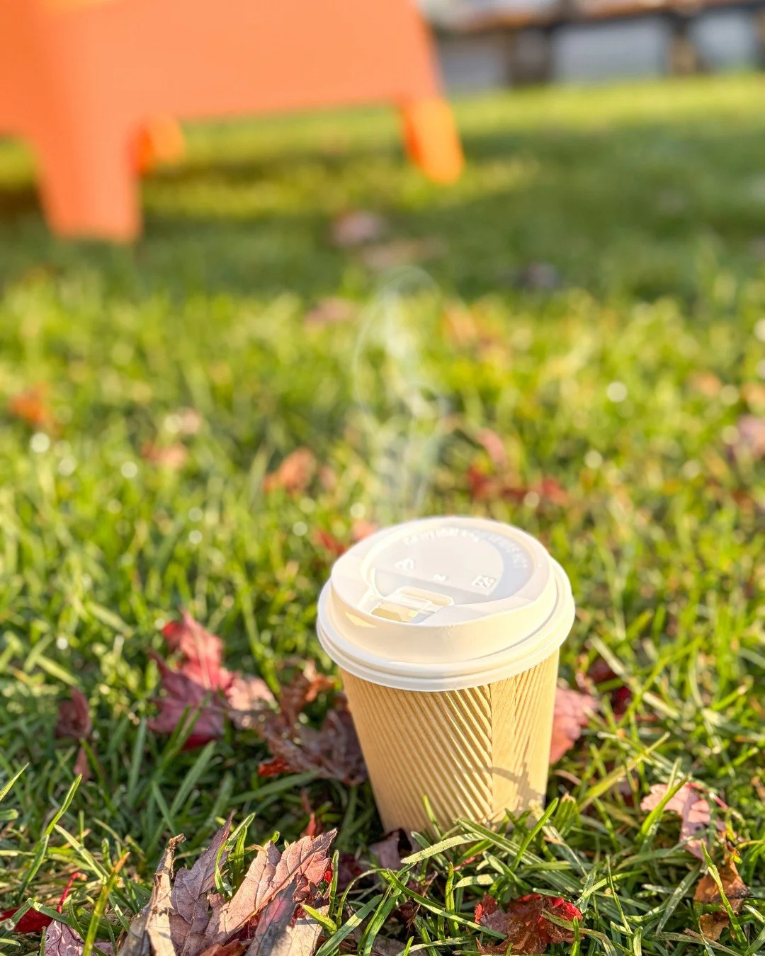 Nothing like the morning sun and a hot drink! What's your go to hot drink? I love our Chai Latte so much, it always makes me feel warm and cozy. Did you know our Chai concentrate is made in house?
.
Stop in or order online thru our app for pickup or 