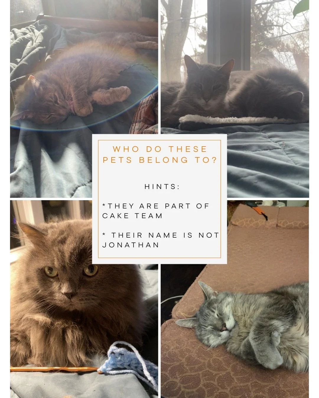 Guess who these pets belong to part 2/2. Happy National Pet Day!
.
#whiskandarrow #appletonwi