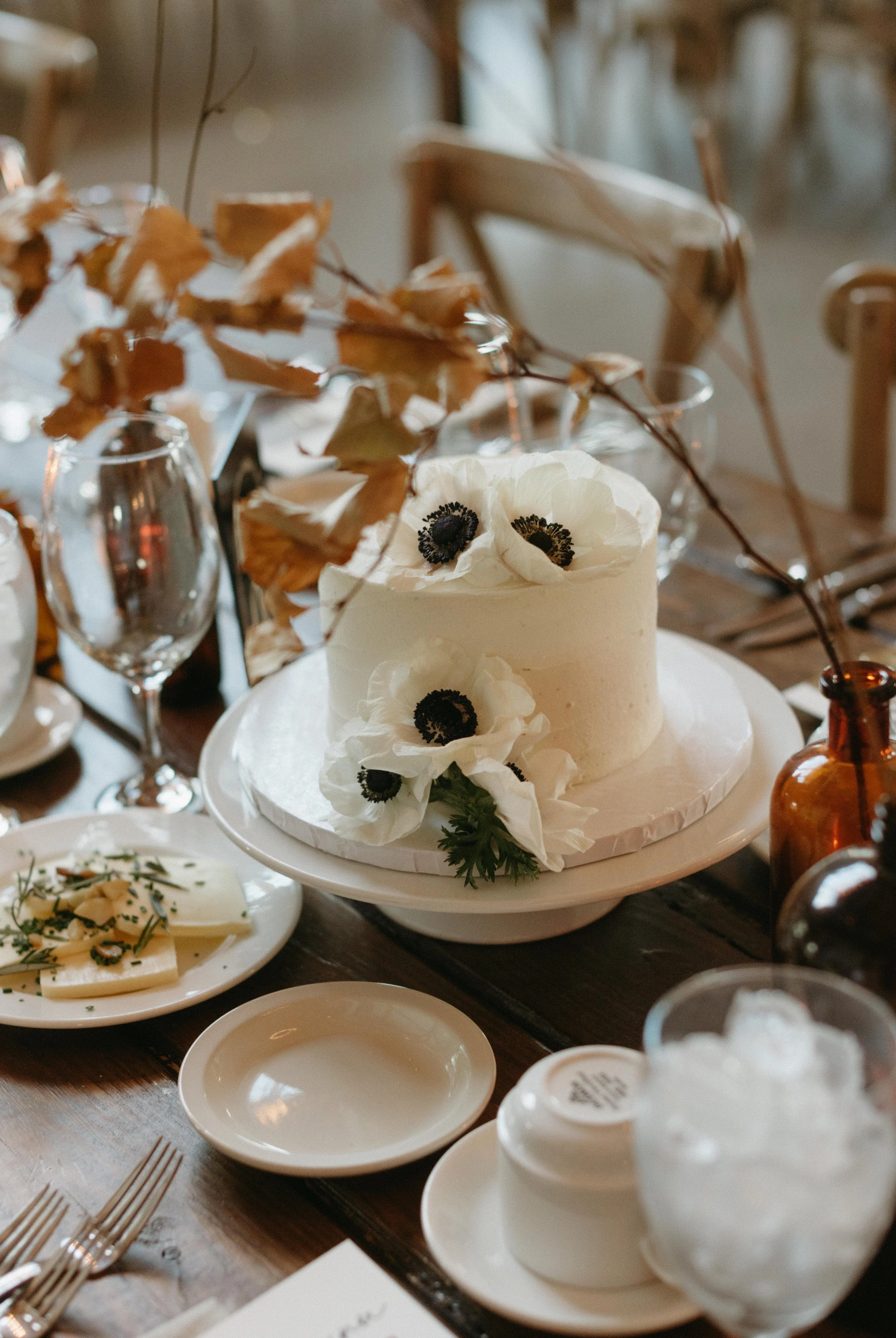 Balster+Wedding+07+Reception-48 (2).jpg