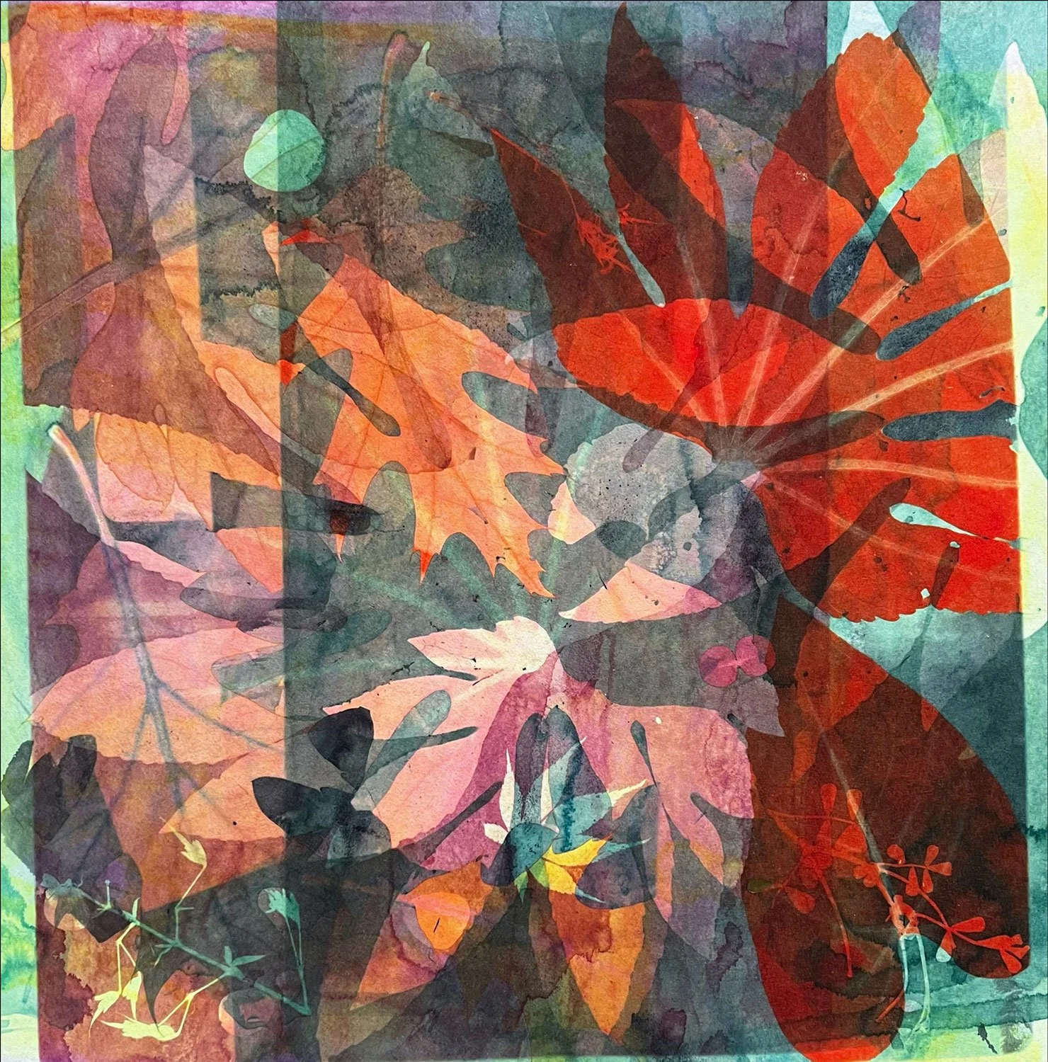 Leaf-fall-1_50x50cm_2025_hilaryblackburn_4118.jpg