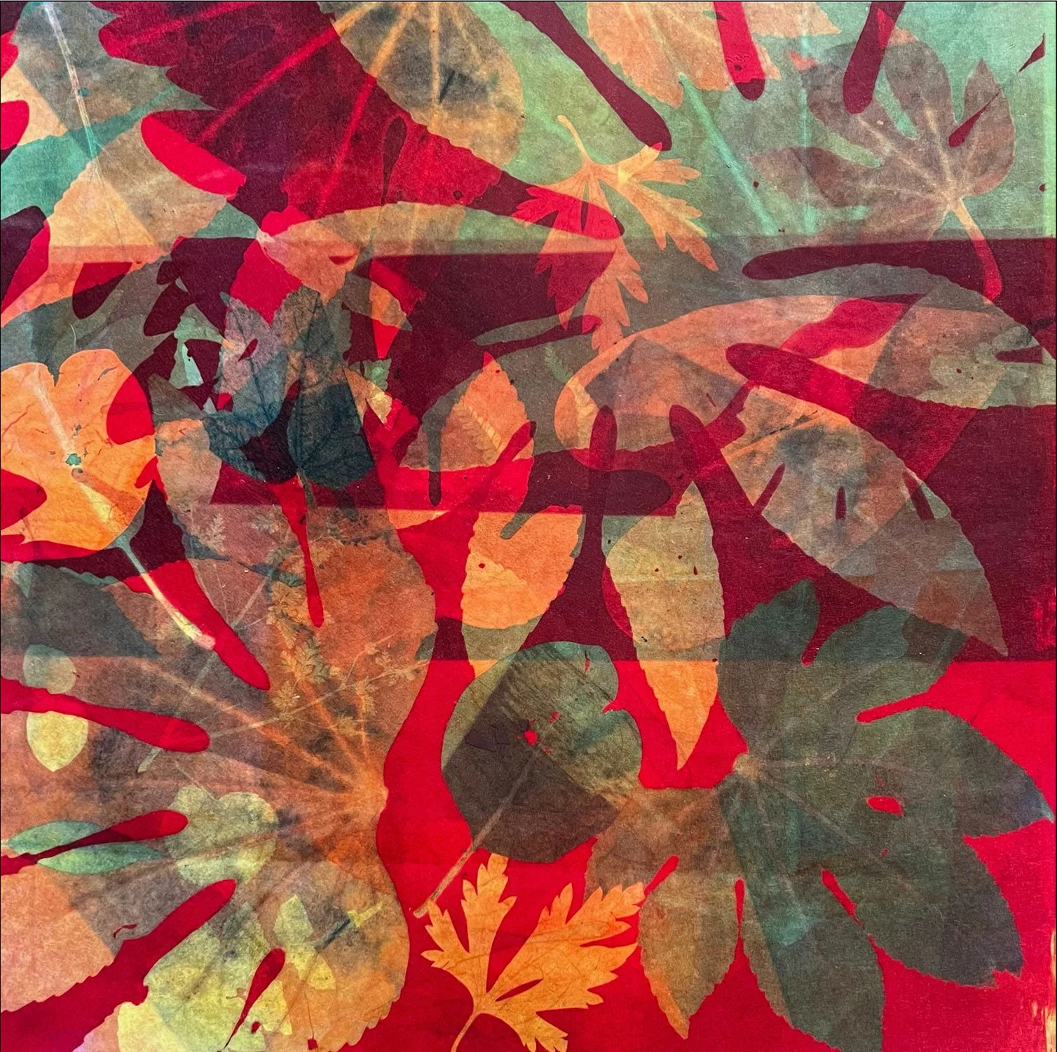 FolioofFoliage3_50x50cm_2025_hilaryblackburn_4120.jpg