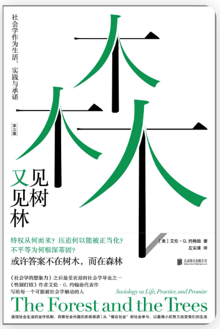 见树又见林.png