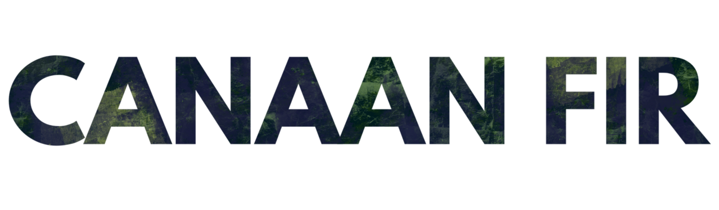 Canaan Fir — Mile High Tree Farm