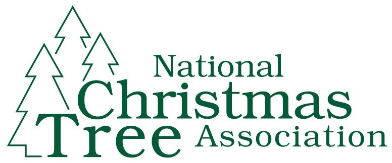 Christmas Trees - Real Vs. Fake — Mile High Tree Farm