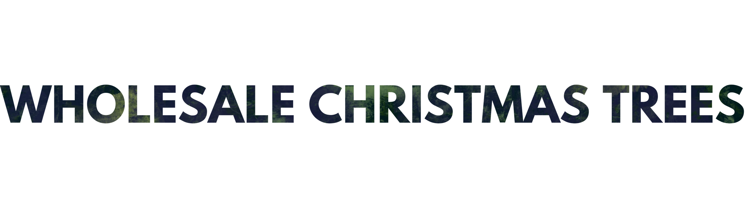 Mile High Tree Farm Wholesale Christmas Tree Farm in the North