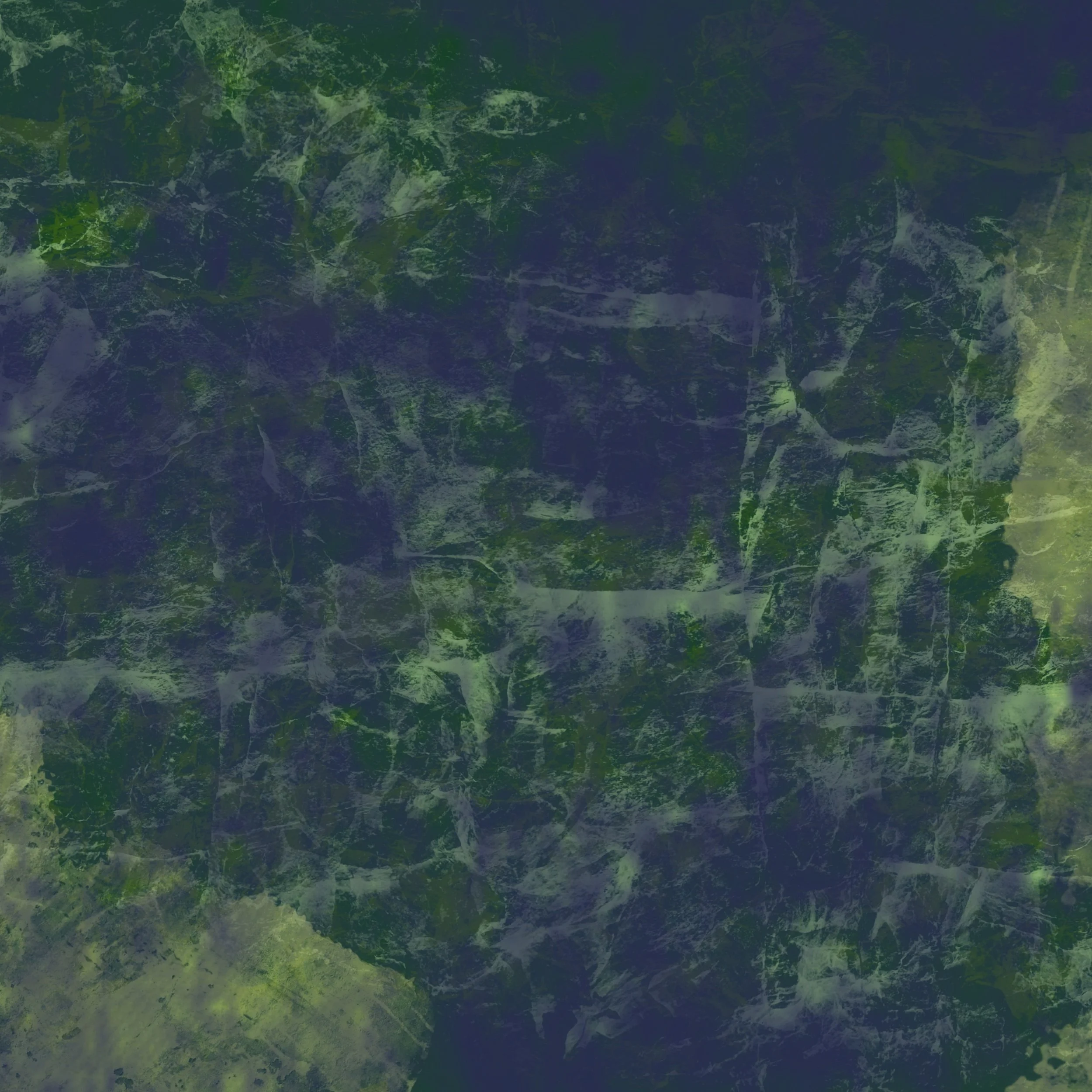 Mile High Tree Farm Wholesale Christmas Tree Farm in the North