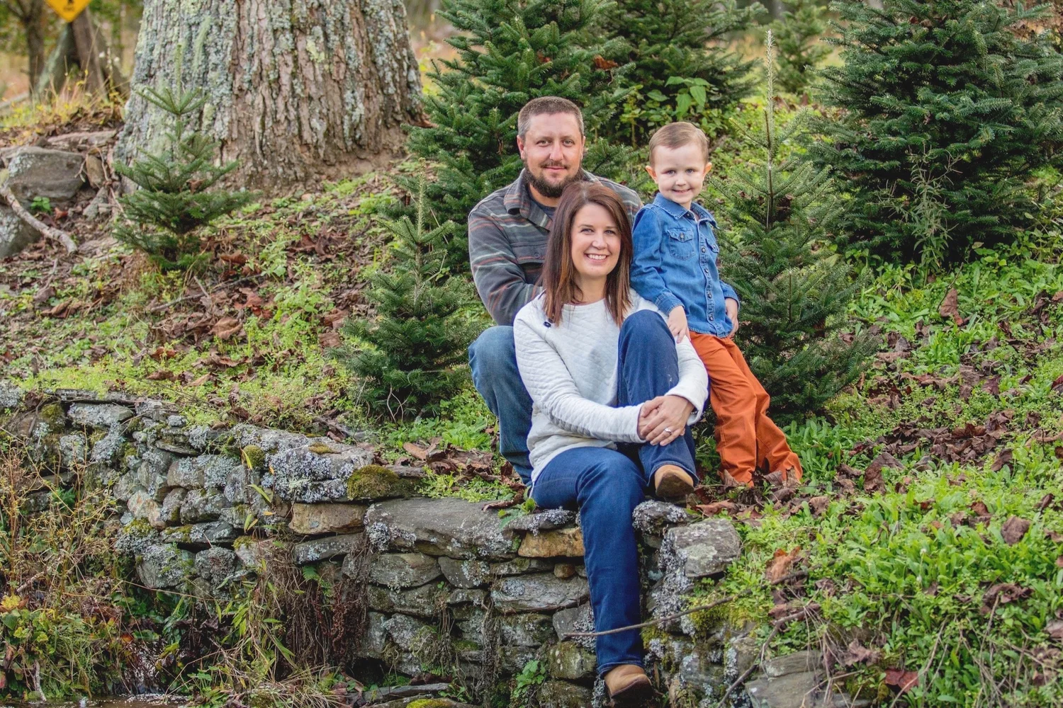 Mile High Tree Farm - Wholesale Christmas Tree Farm in the North ...