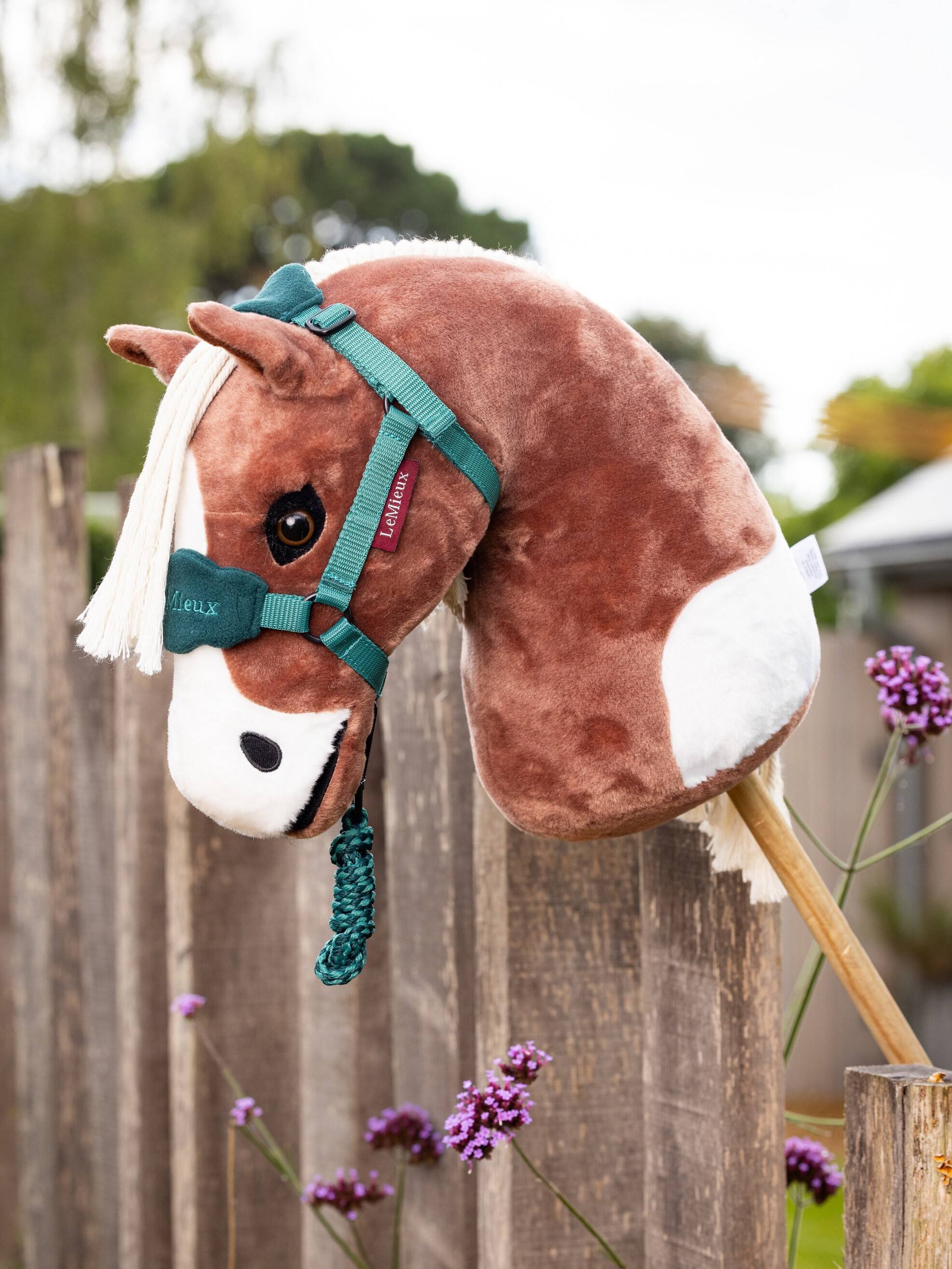 lemieux hobby horse flash 2.jpeg