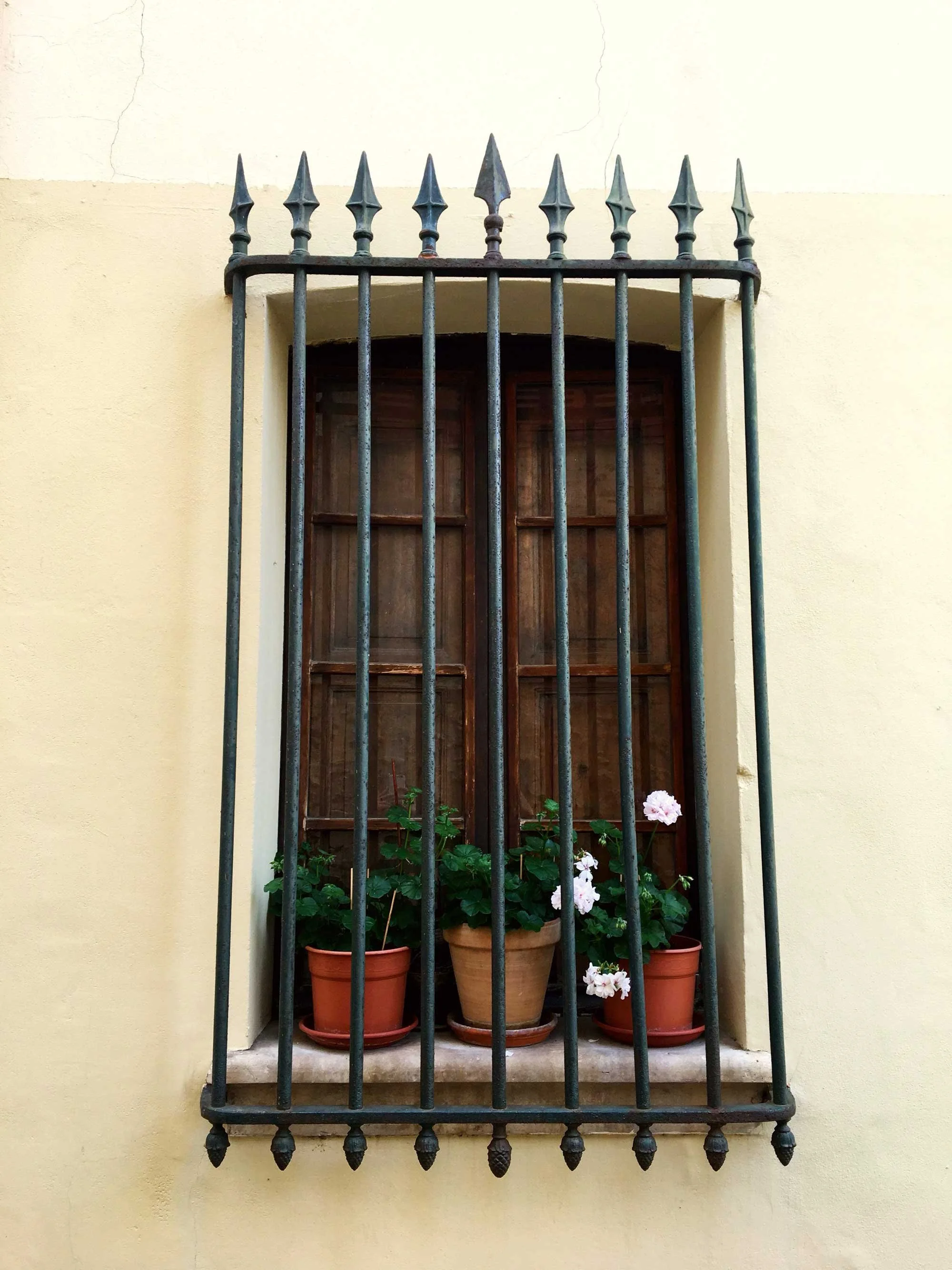 Three potted plants with green leaves and white blooming flowers on a windowsill behind ornate black wrought-iron bars