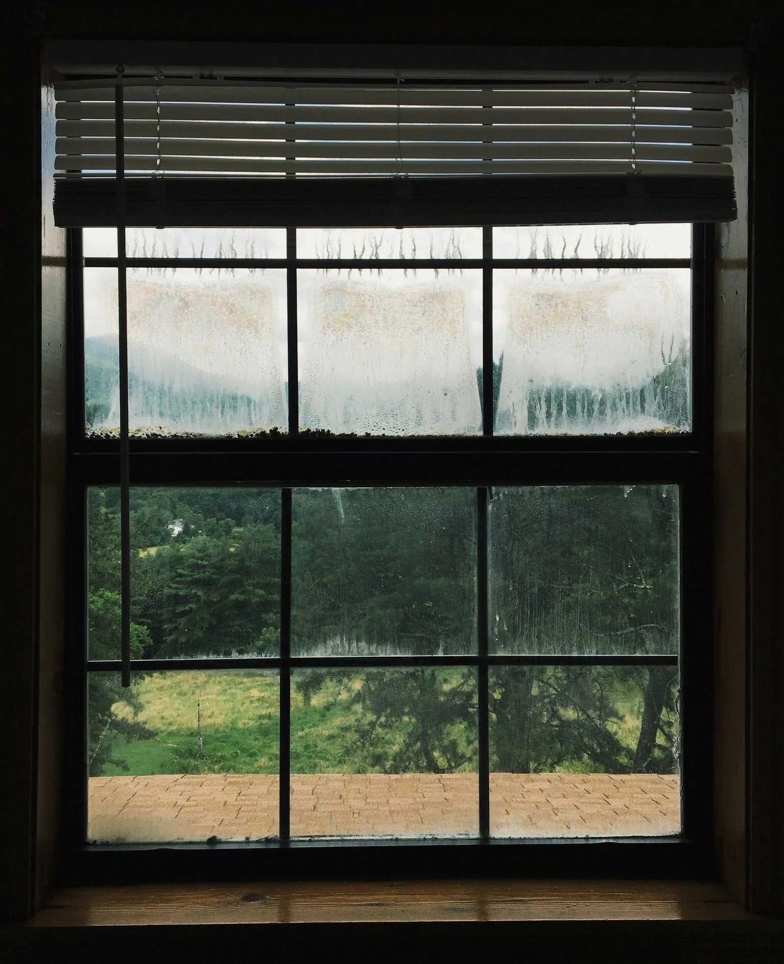 A window with partially open blinds, displaying a view of lush, foggy greenery outside