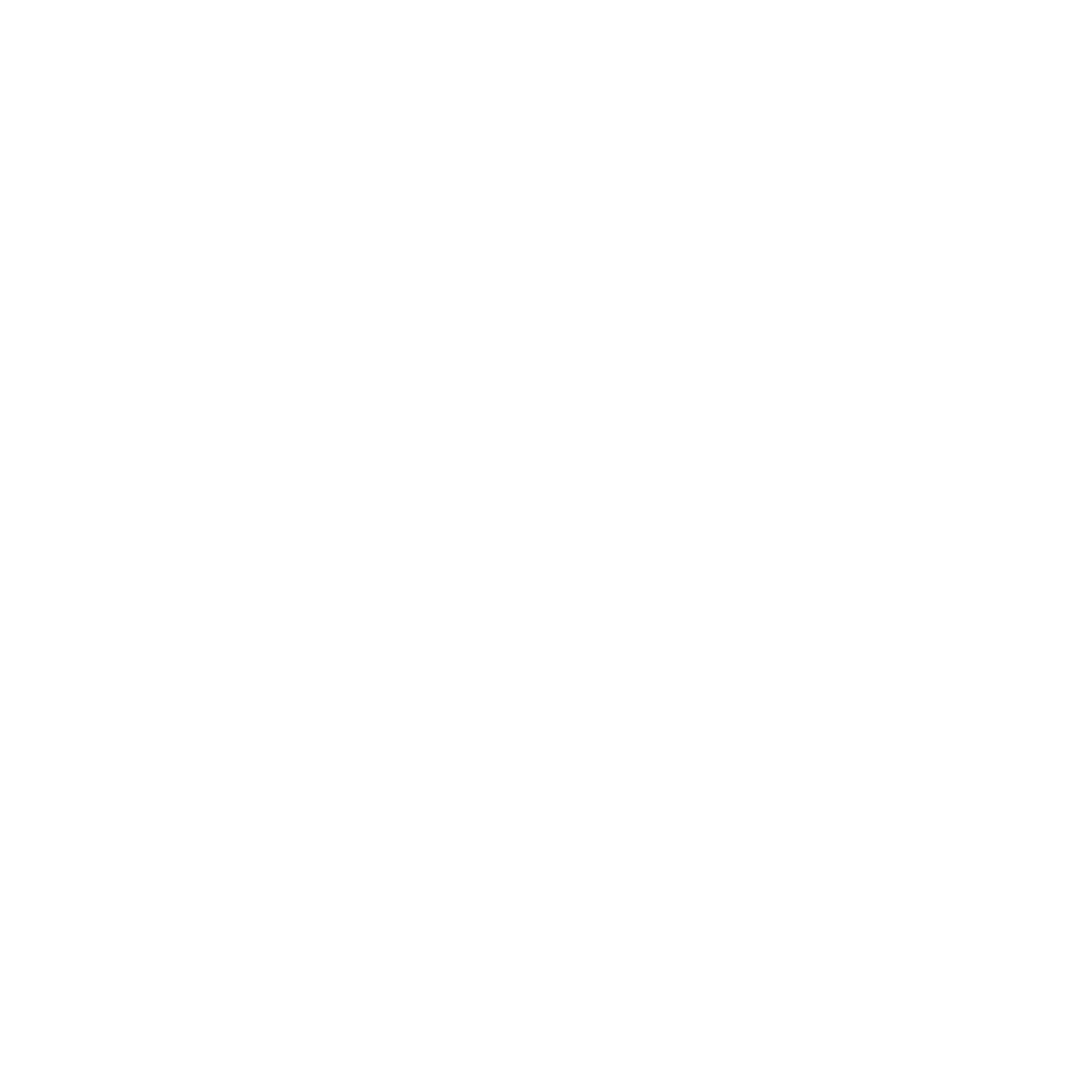 Public Speaking