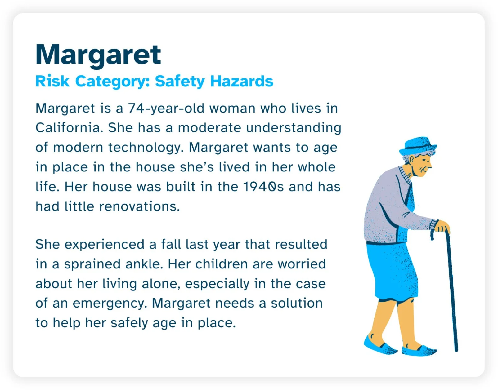 Persona Card: Safety Hazards Risk Category