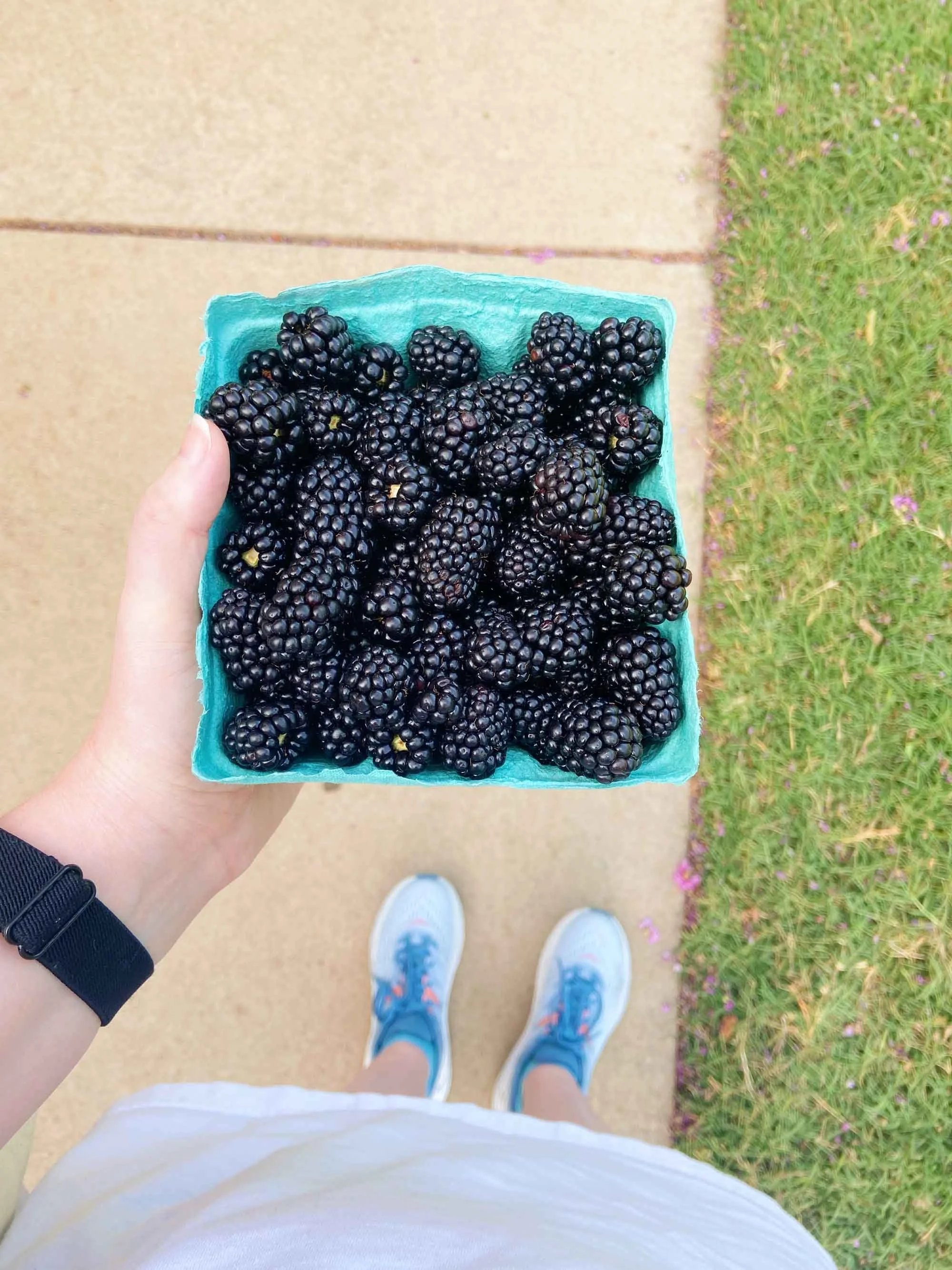 Person on a paved path beside a patch of grass holding small blue container of fresh blackberries