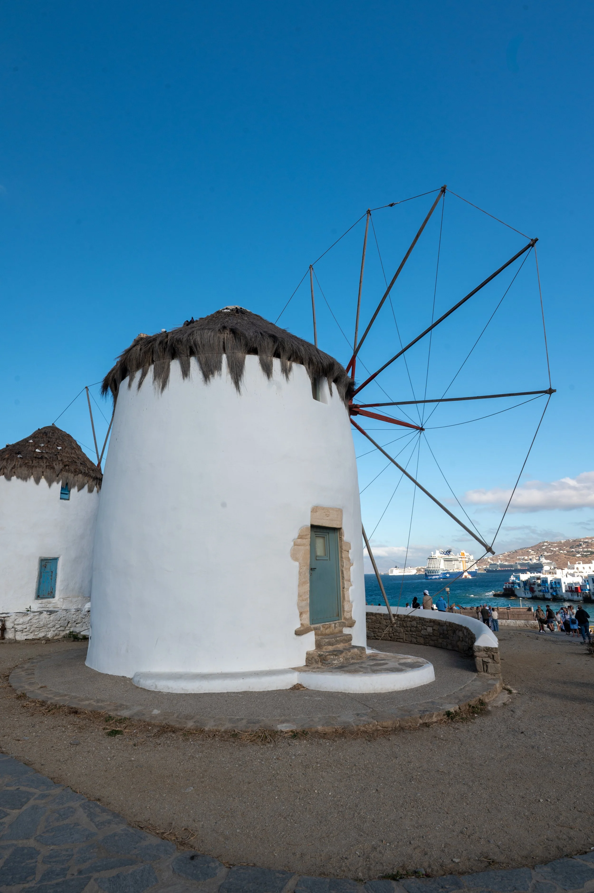DSC_8772.jpg
