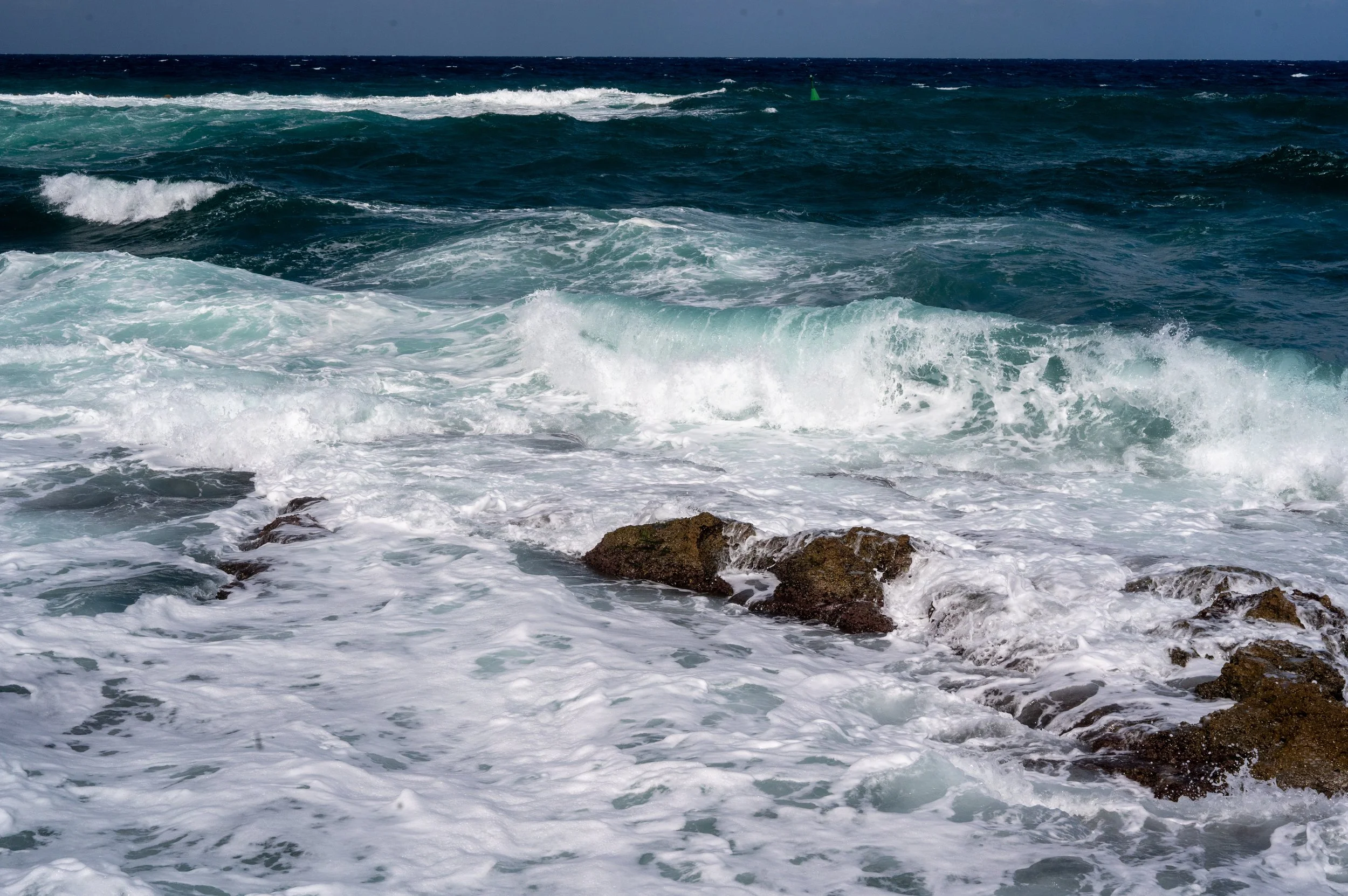 DSC_8489.jpg