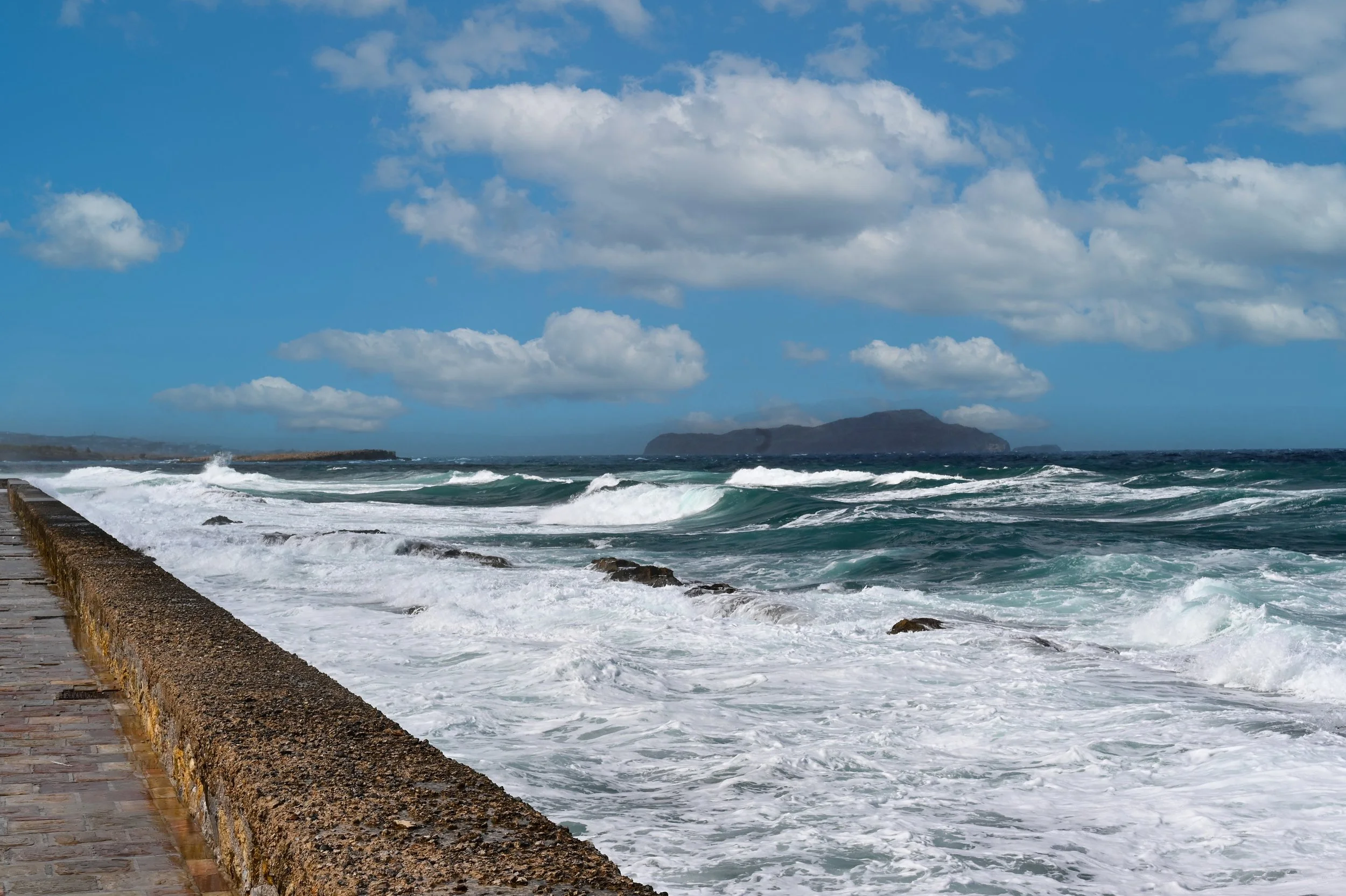 DSC_8485.jpg