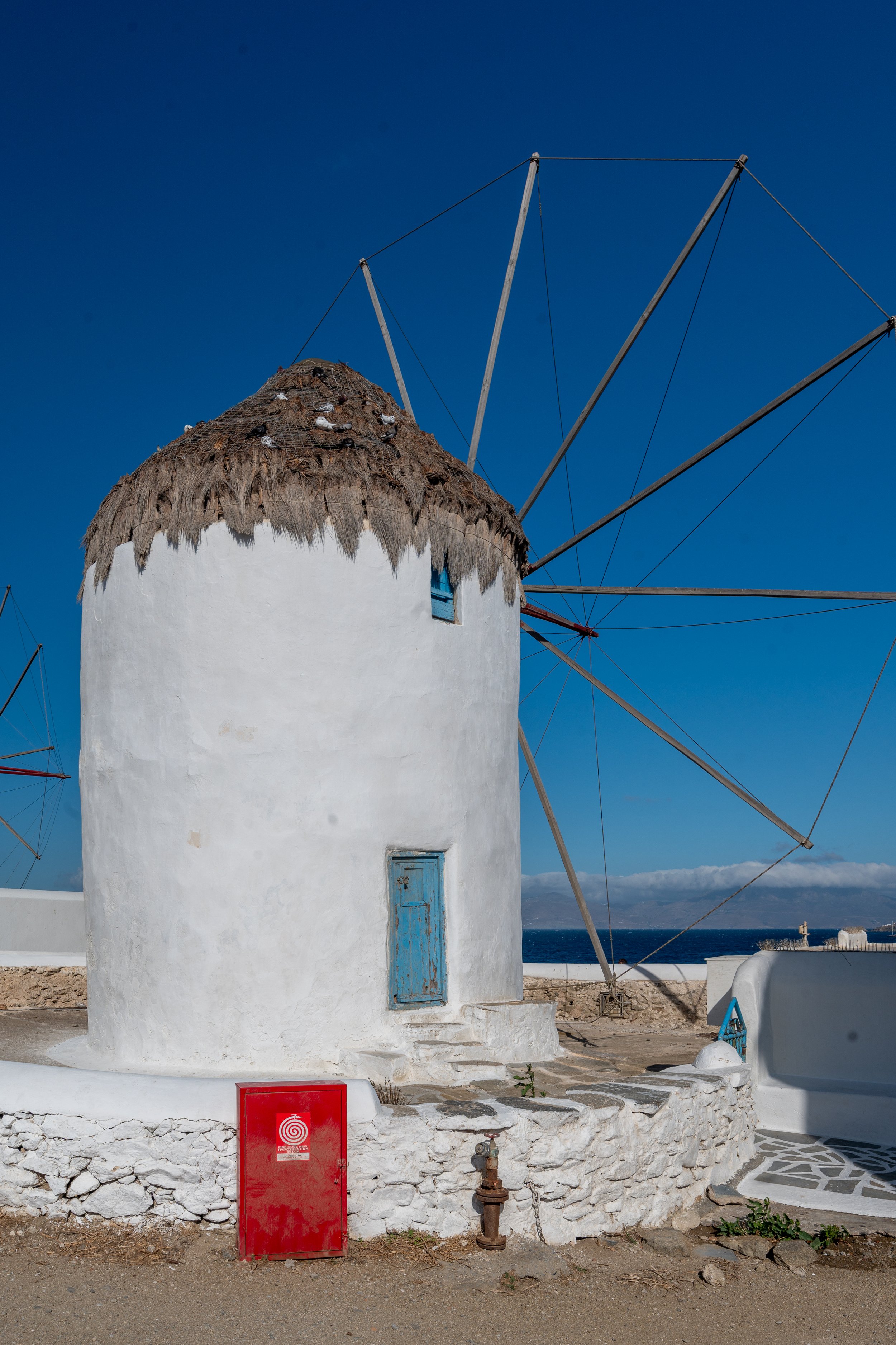 DSC_8774.jpg