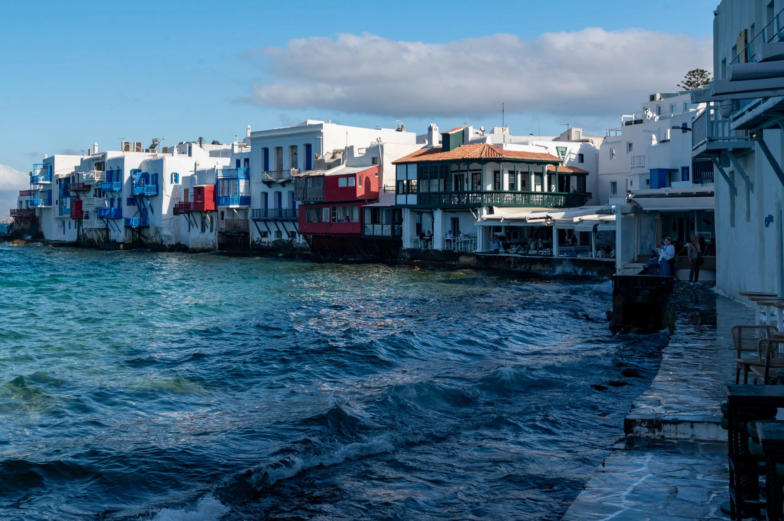 DSC_8769.jpg