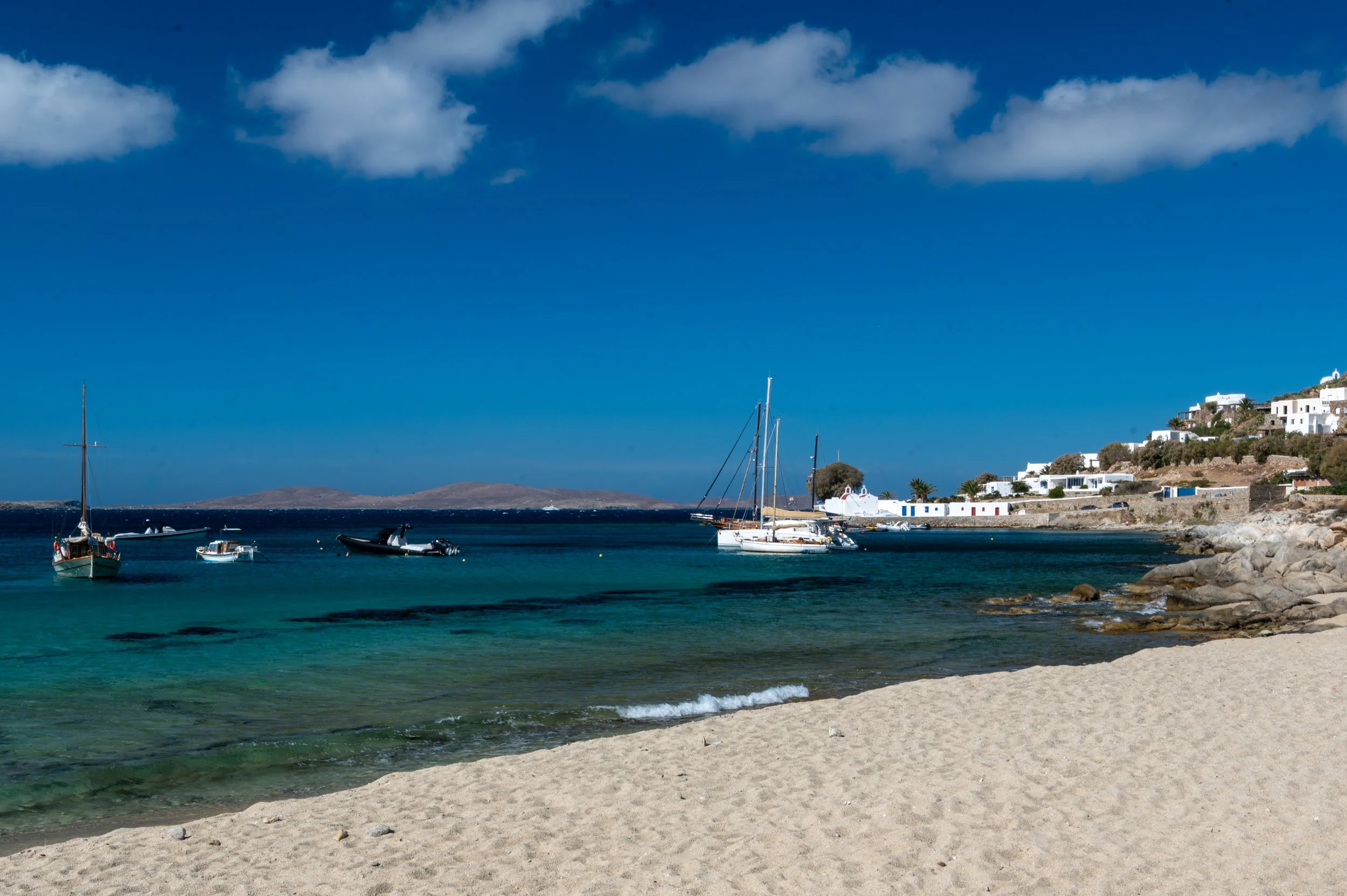 DSC_8793.jpg