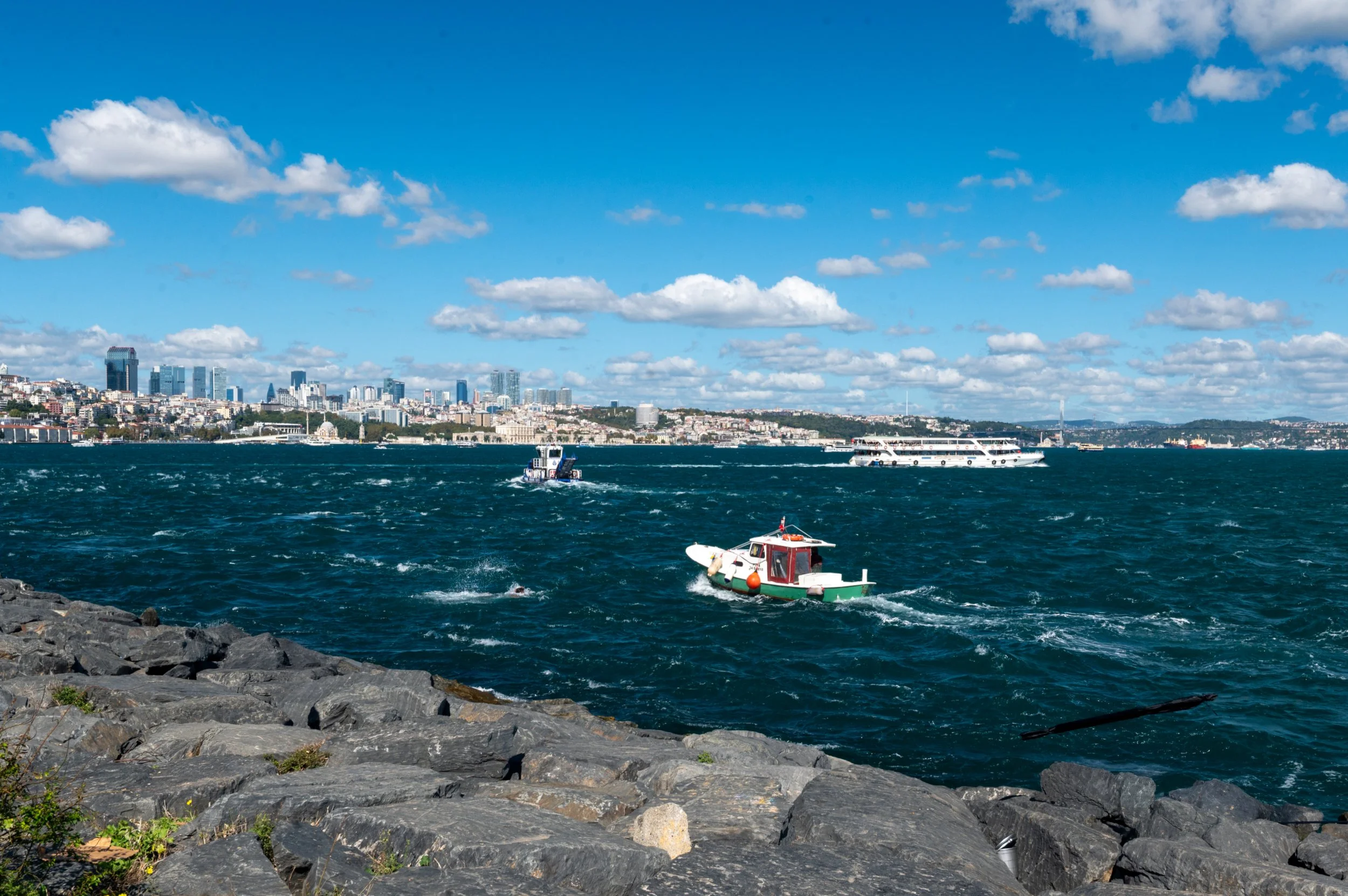 DSC_8743.jpg