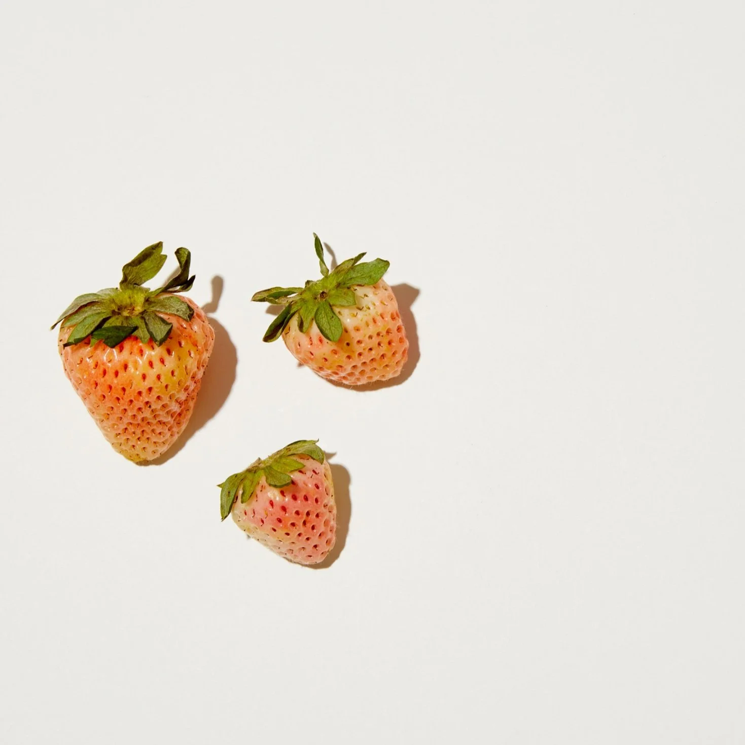 strawbs.jpg