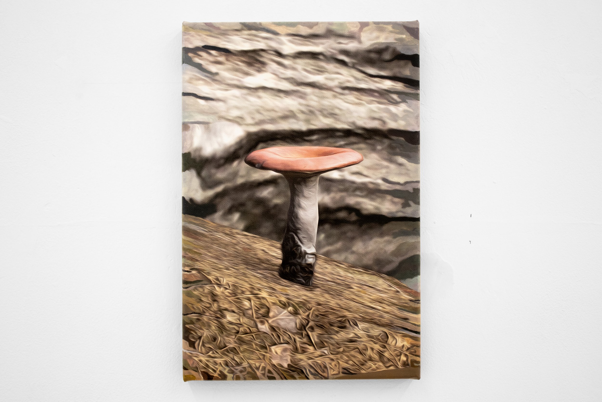 8_Prefab_mushroom_sickener_01_1_Bob_Bicknell_Knight.jpg