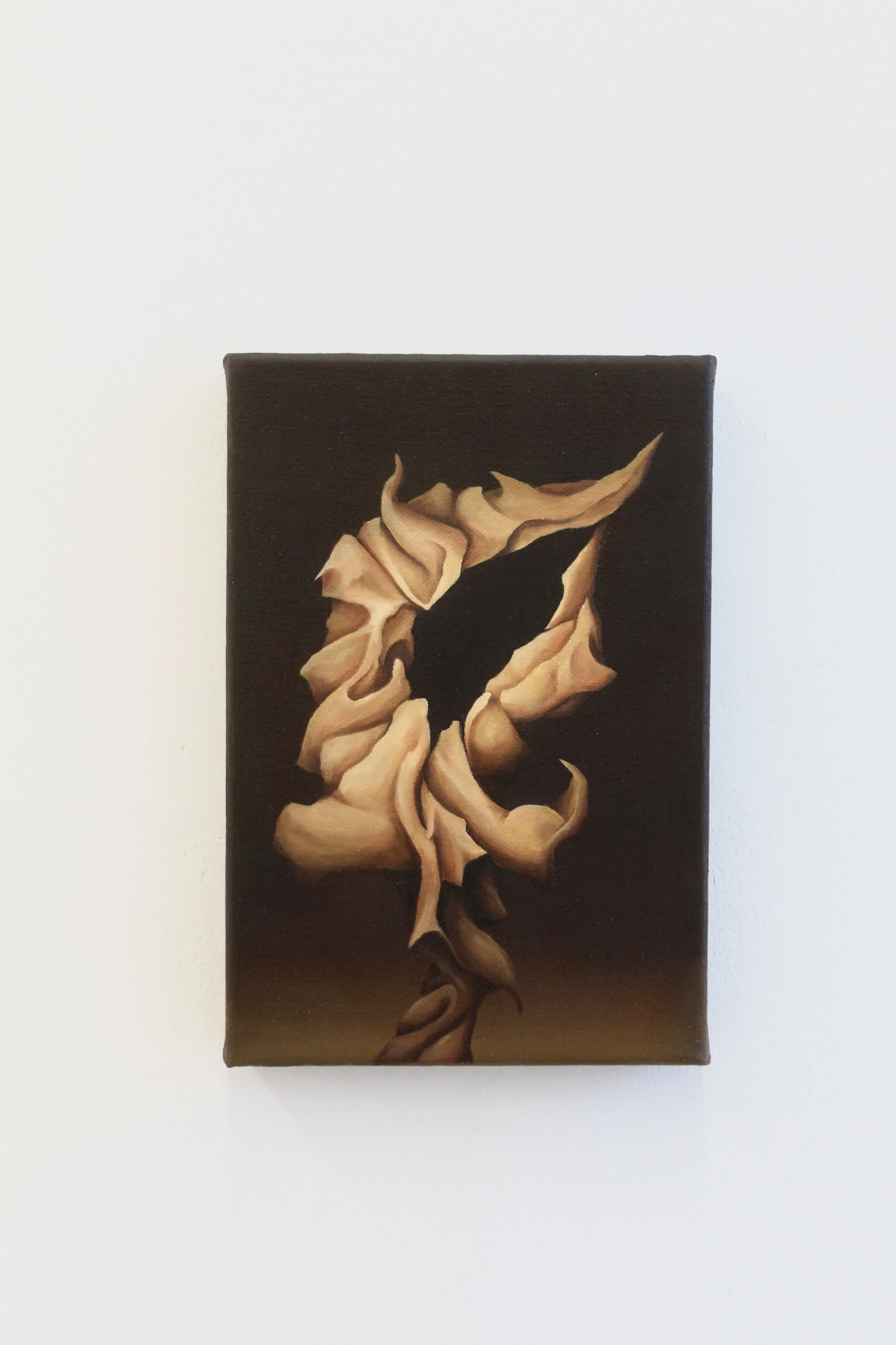 image00019 copy.jpeg