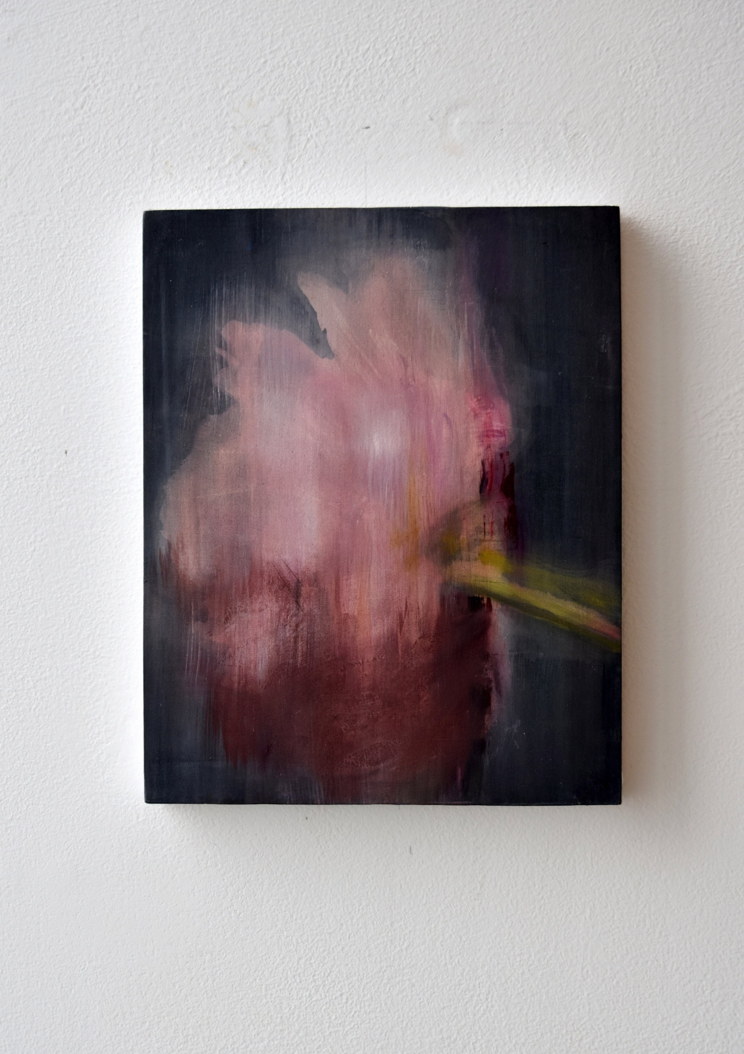 Obscurer Bloom | Georgia Peskett, 2025