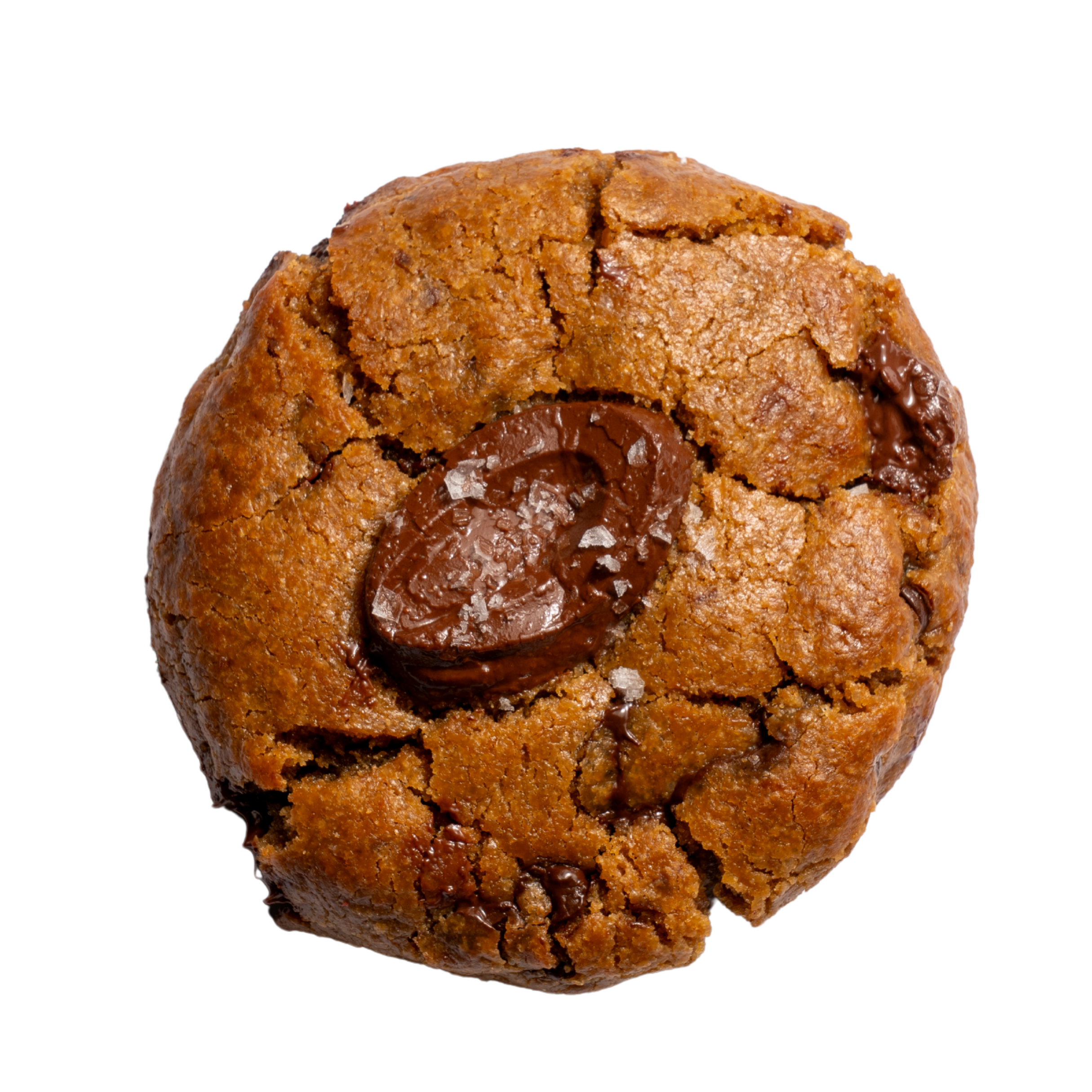 Chocolate Chip - (Image).png