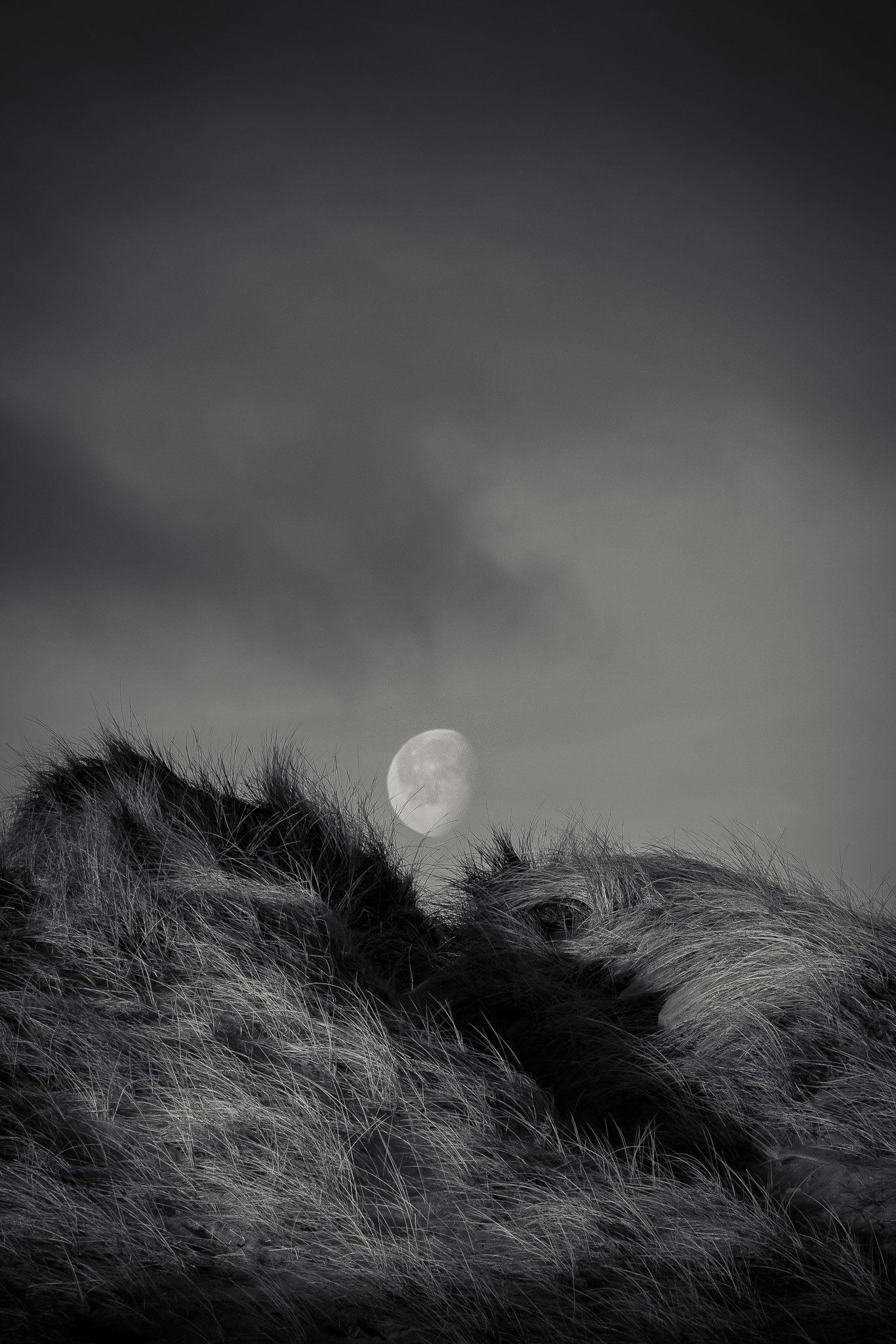 Day Moon, Warkworth