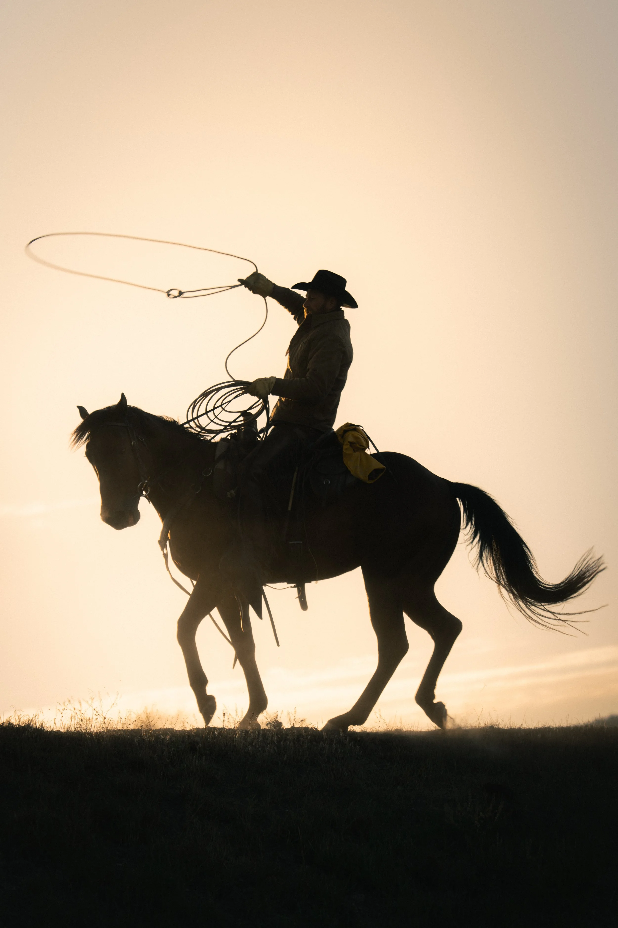 Lasso
