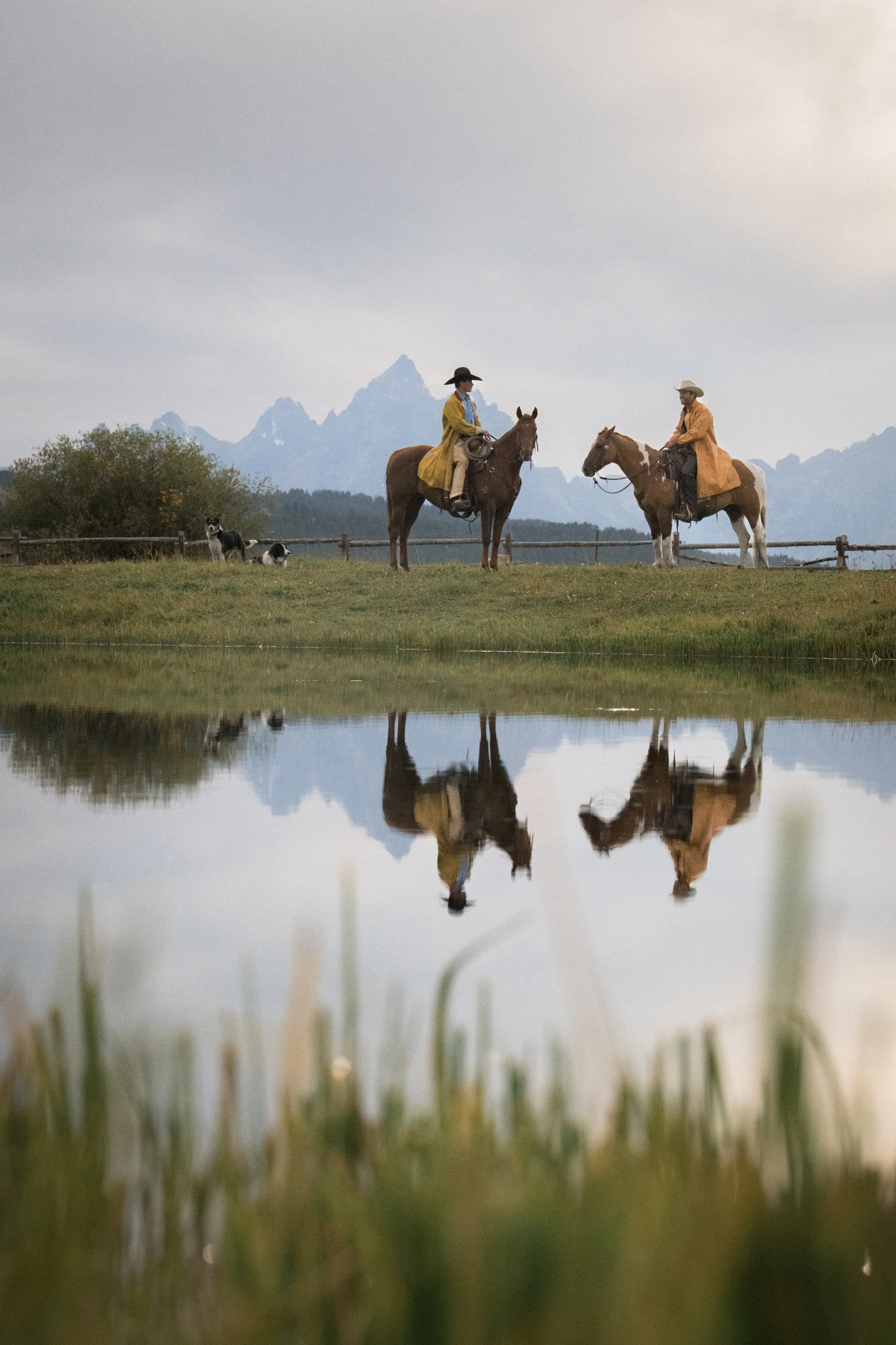 Reflections
