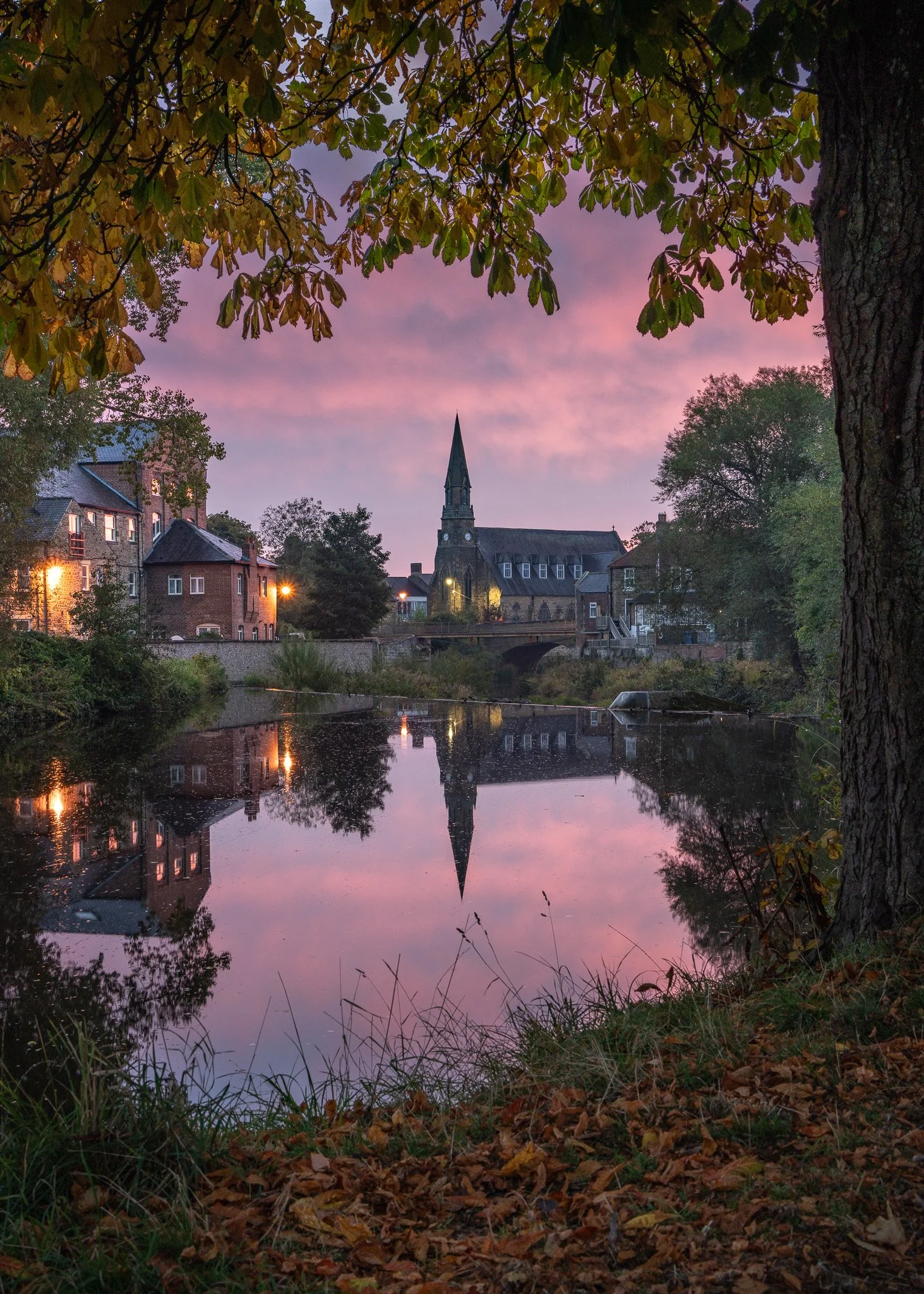 A7R09452-2.jpg