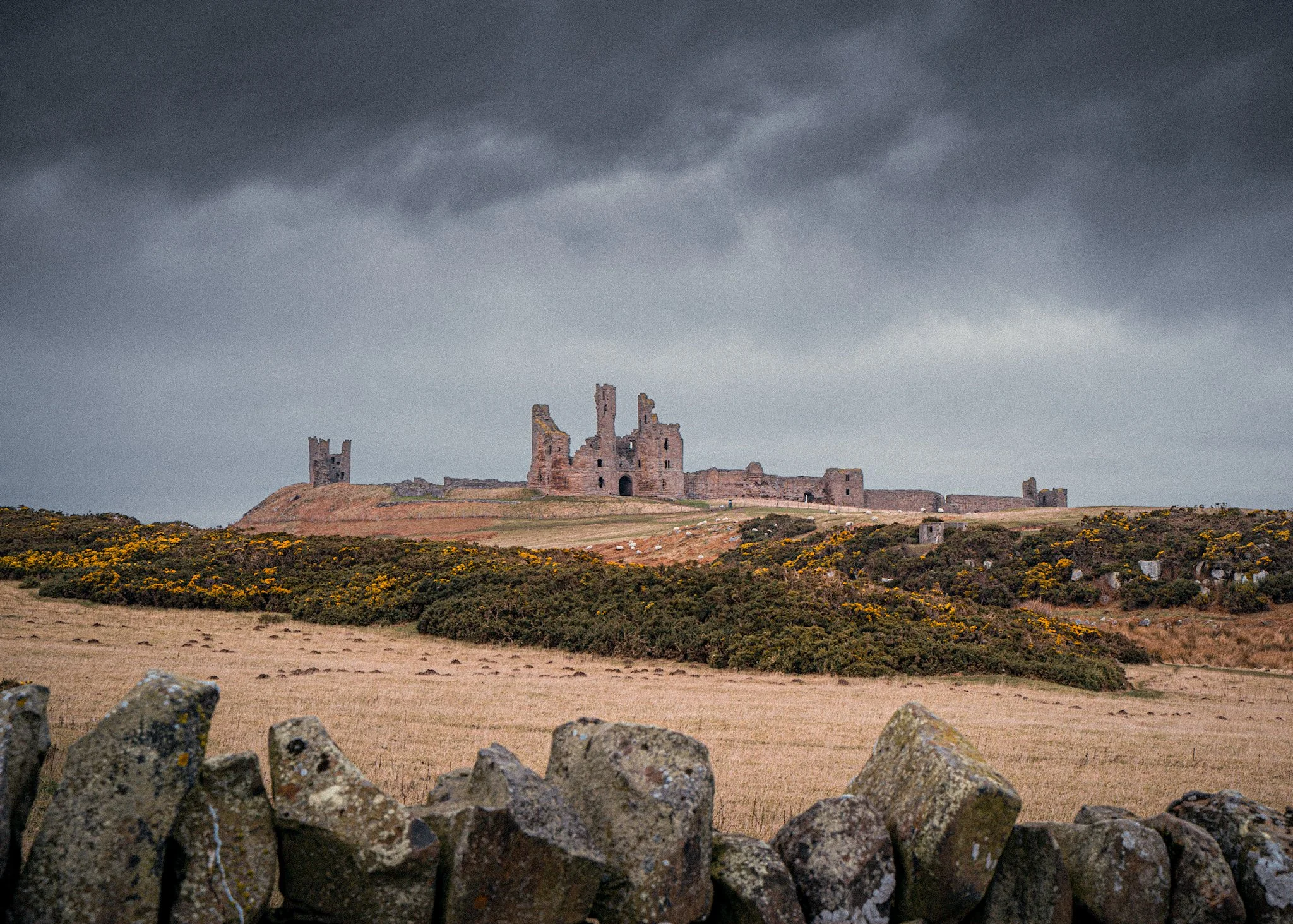 Dunstanburgh castle by Jim Scott photography