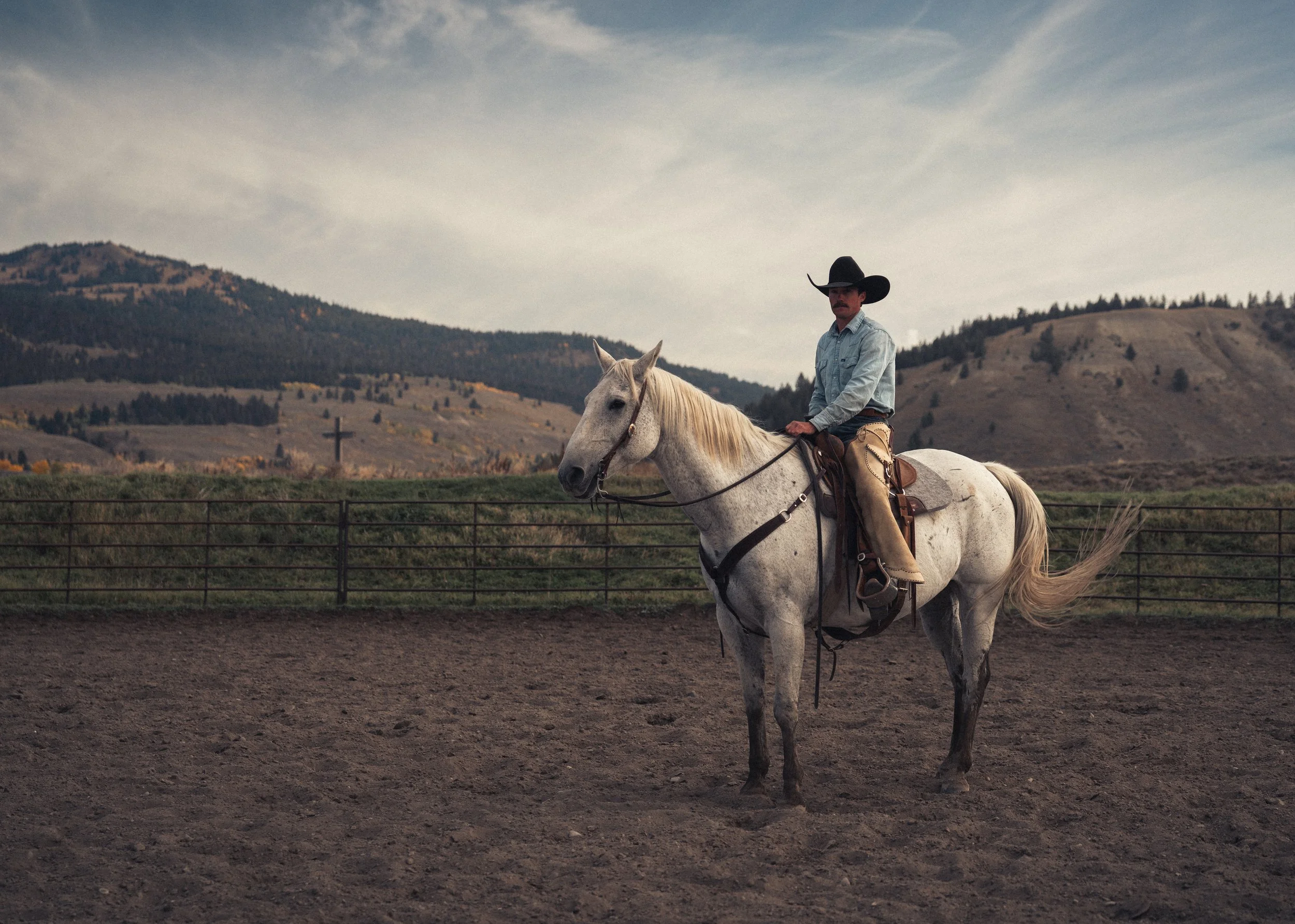 Cowboy and horse portrait