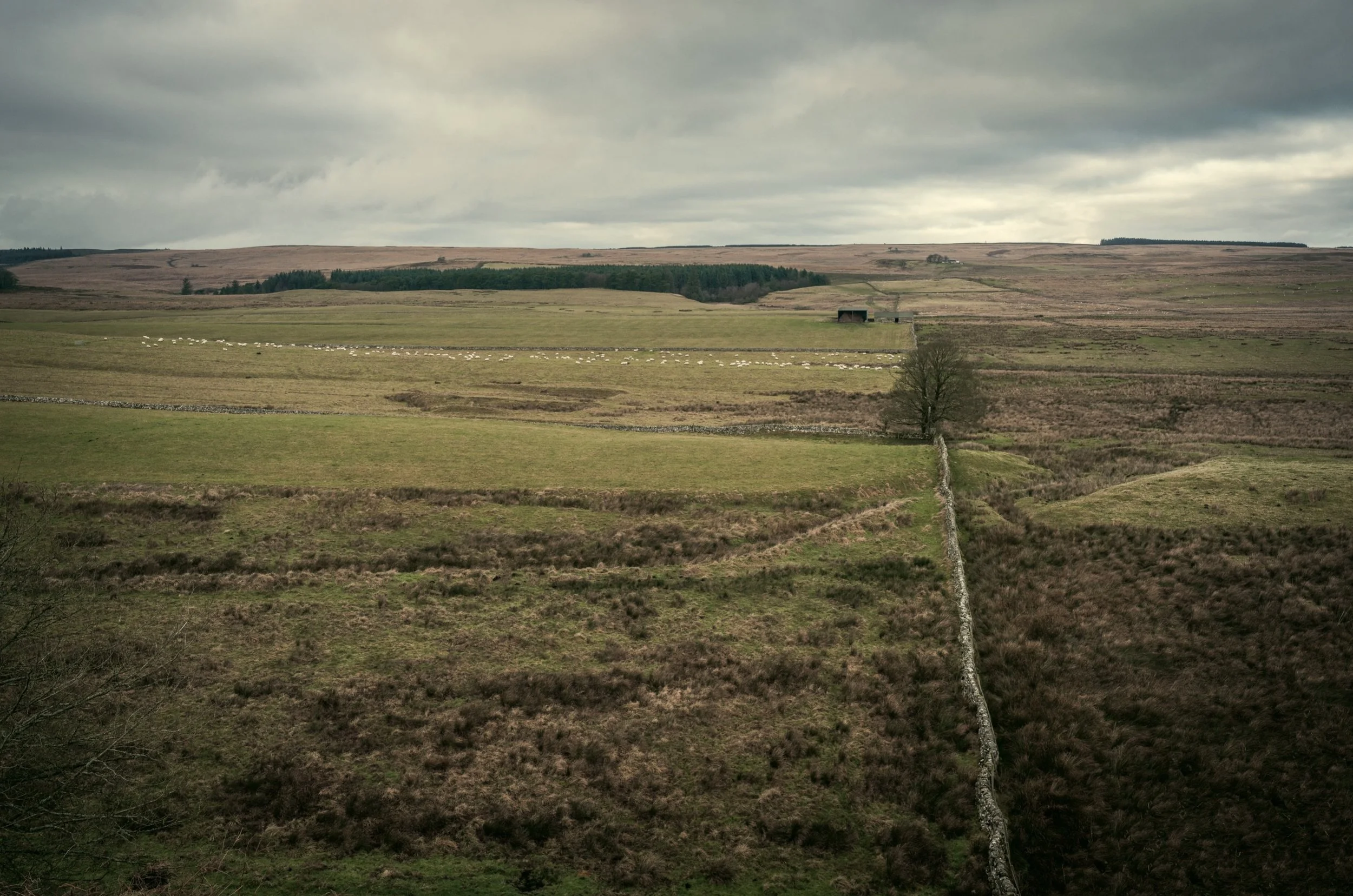 he site of sewingshields castle, by Jim Scott Photography
