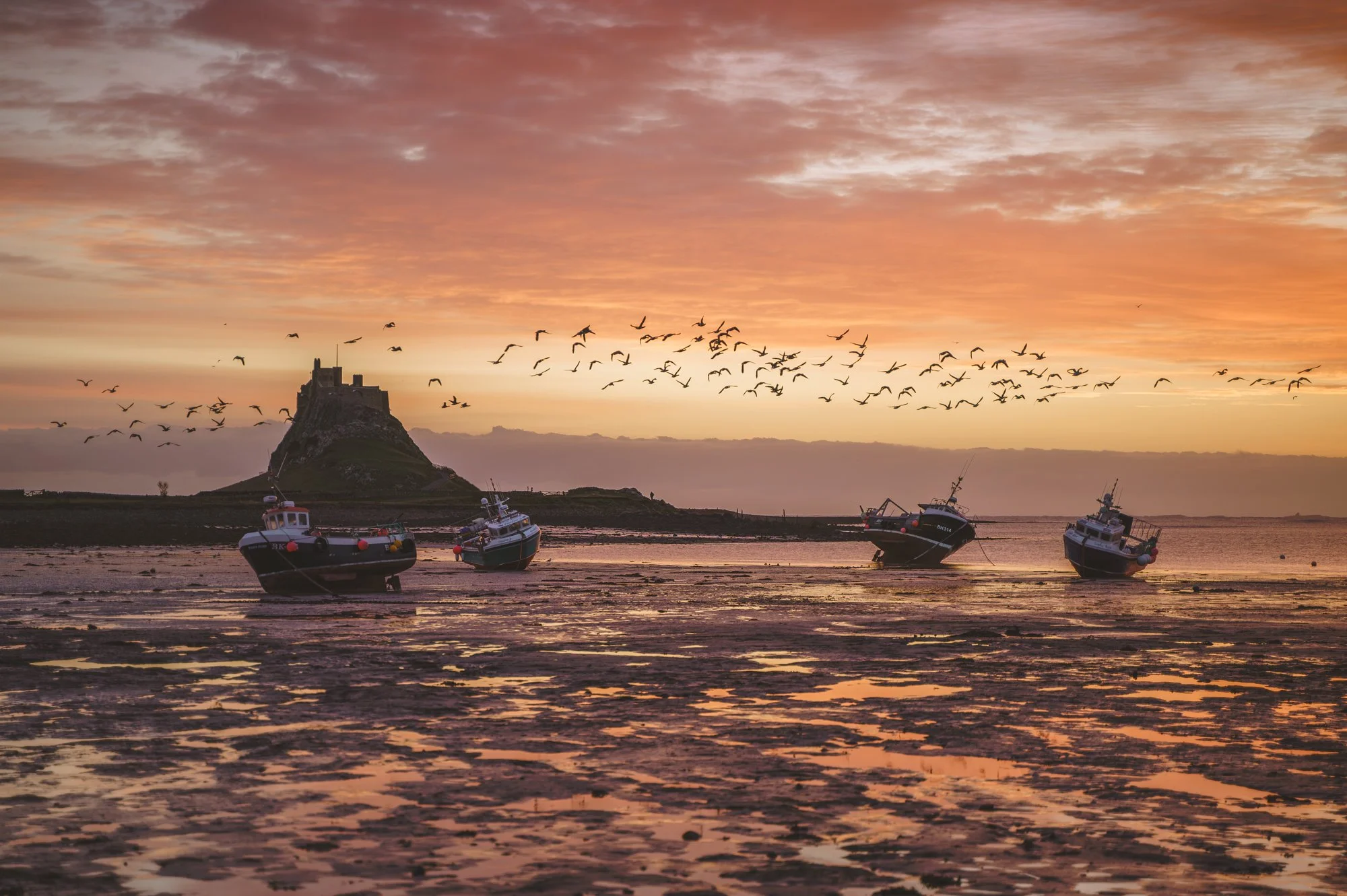 Lindisfarne castle at sunrise with birds taking flight, by Jim Scott Photography