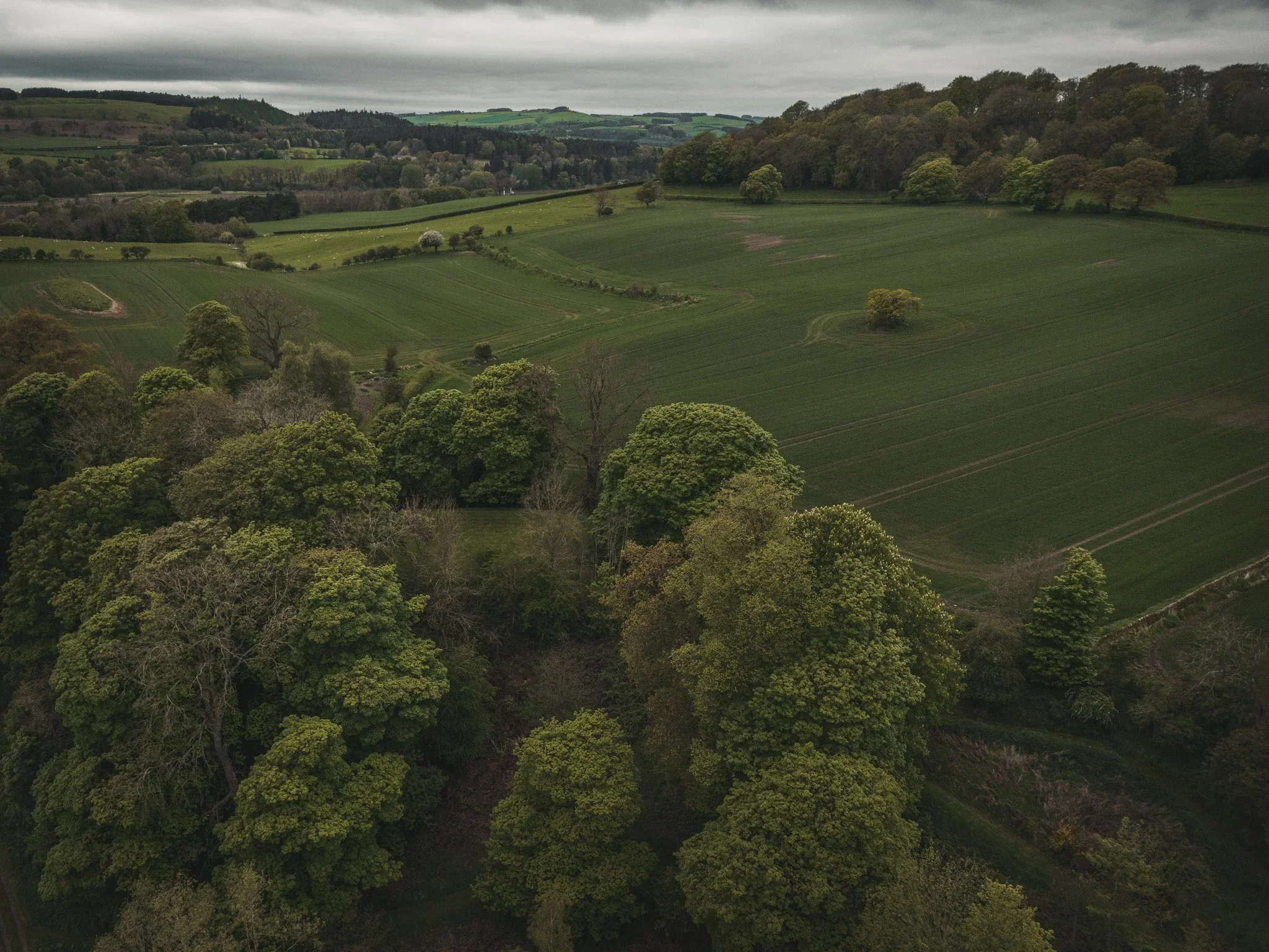 Warden castle site in Northumberland, by Jim Scott Photography